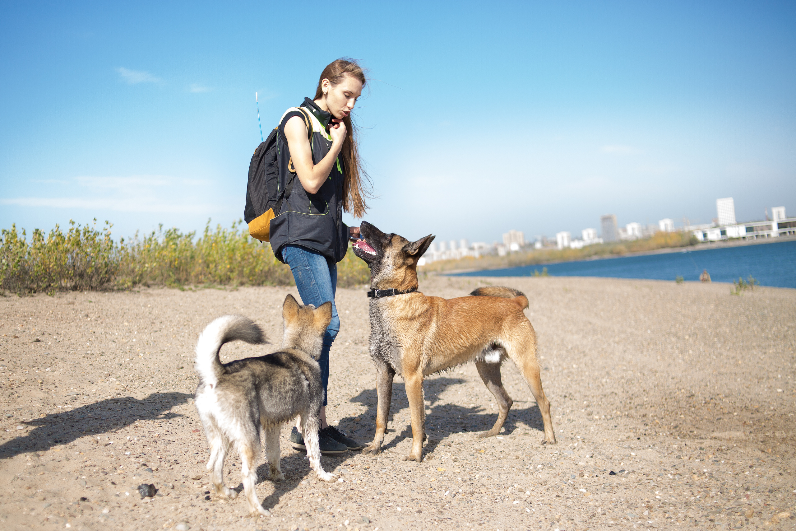 Фотосессия  собак. Фотограф в Новосибирске