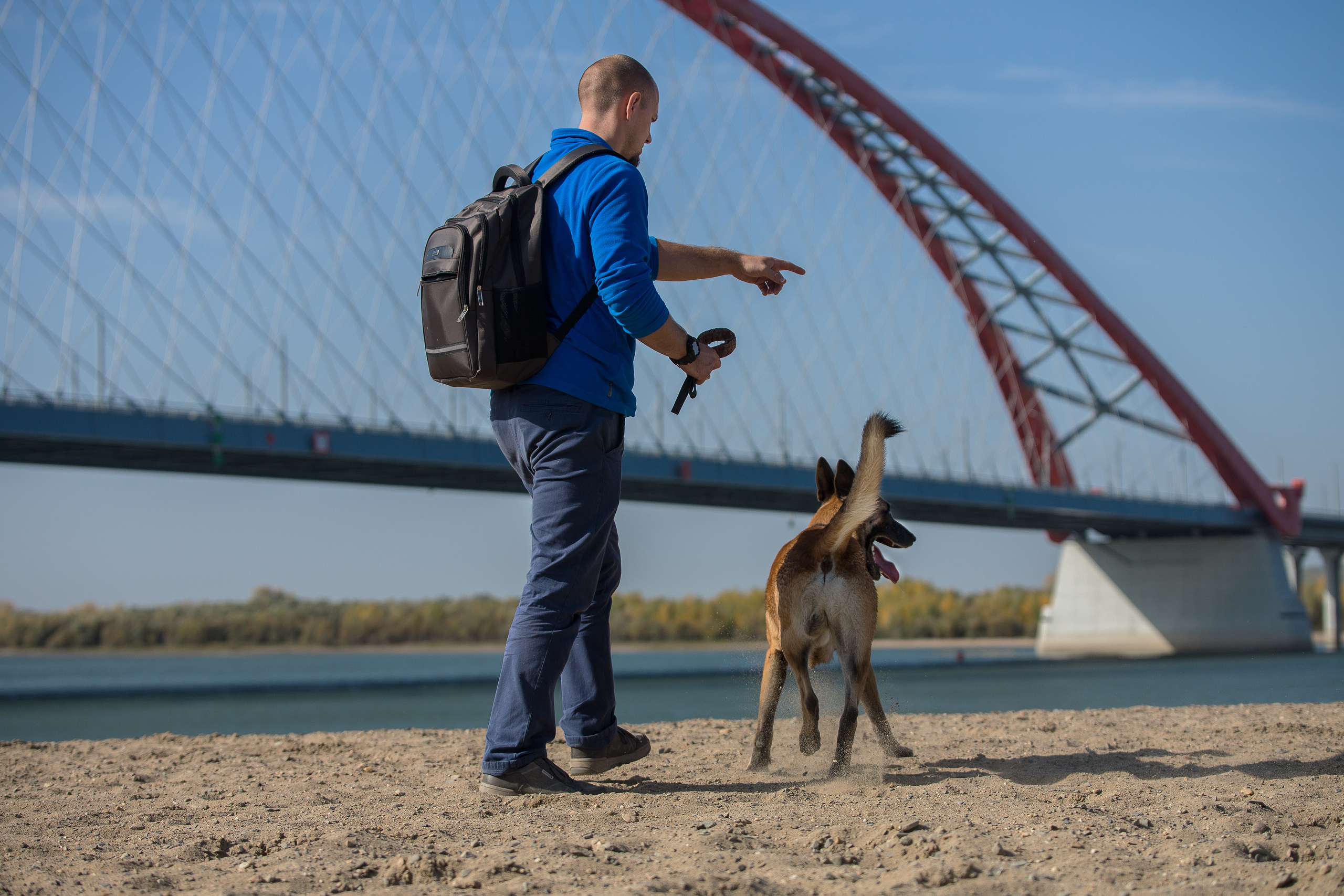 Фотосессия  собак. Фотограф в Новосибирске