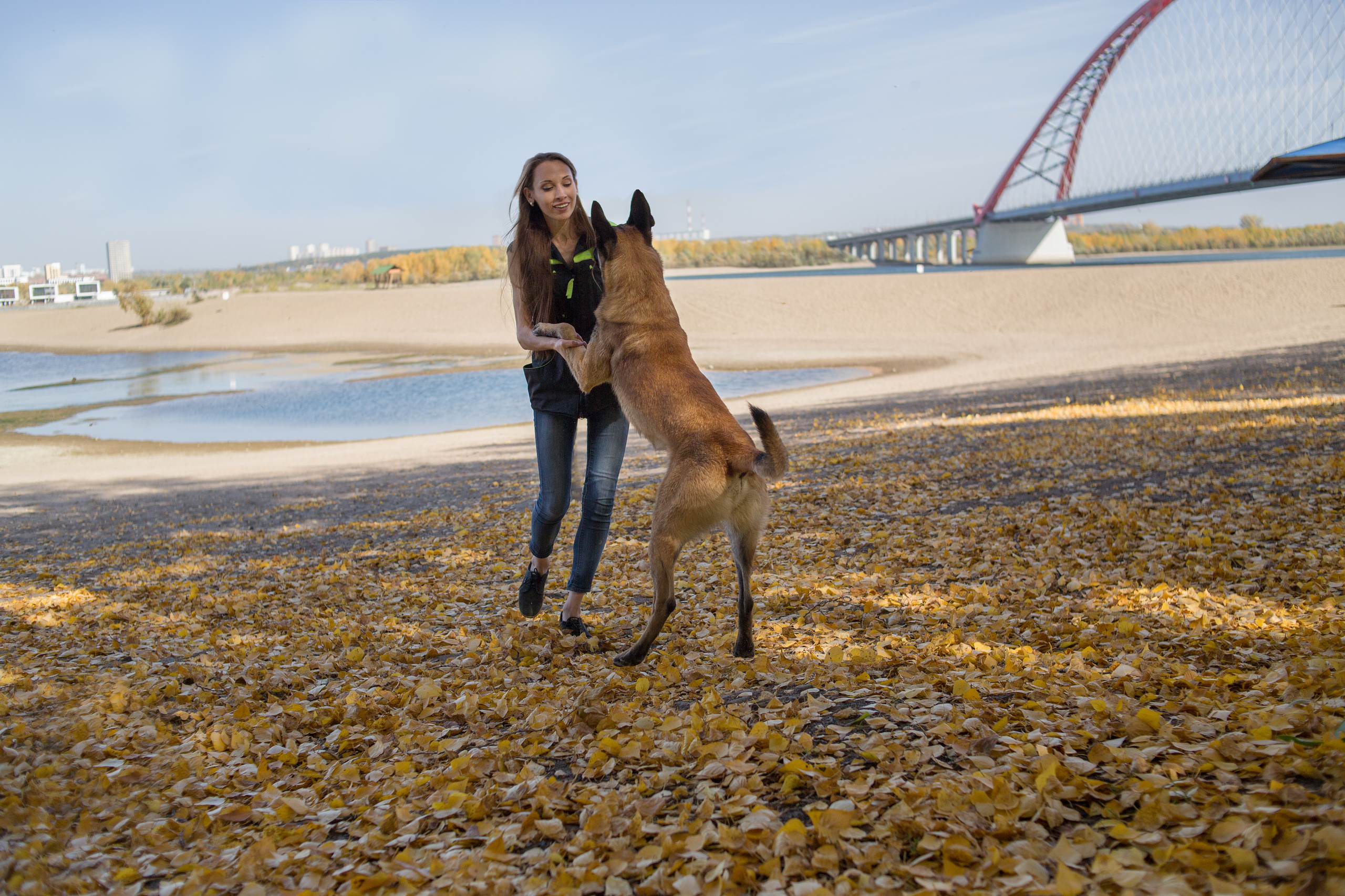 Фотосессия  собак. Фотограф в Новосибирске