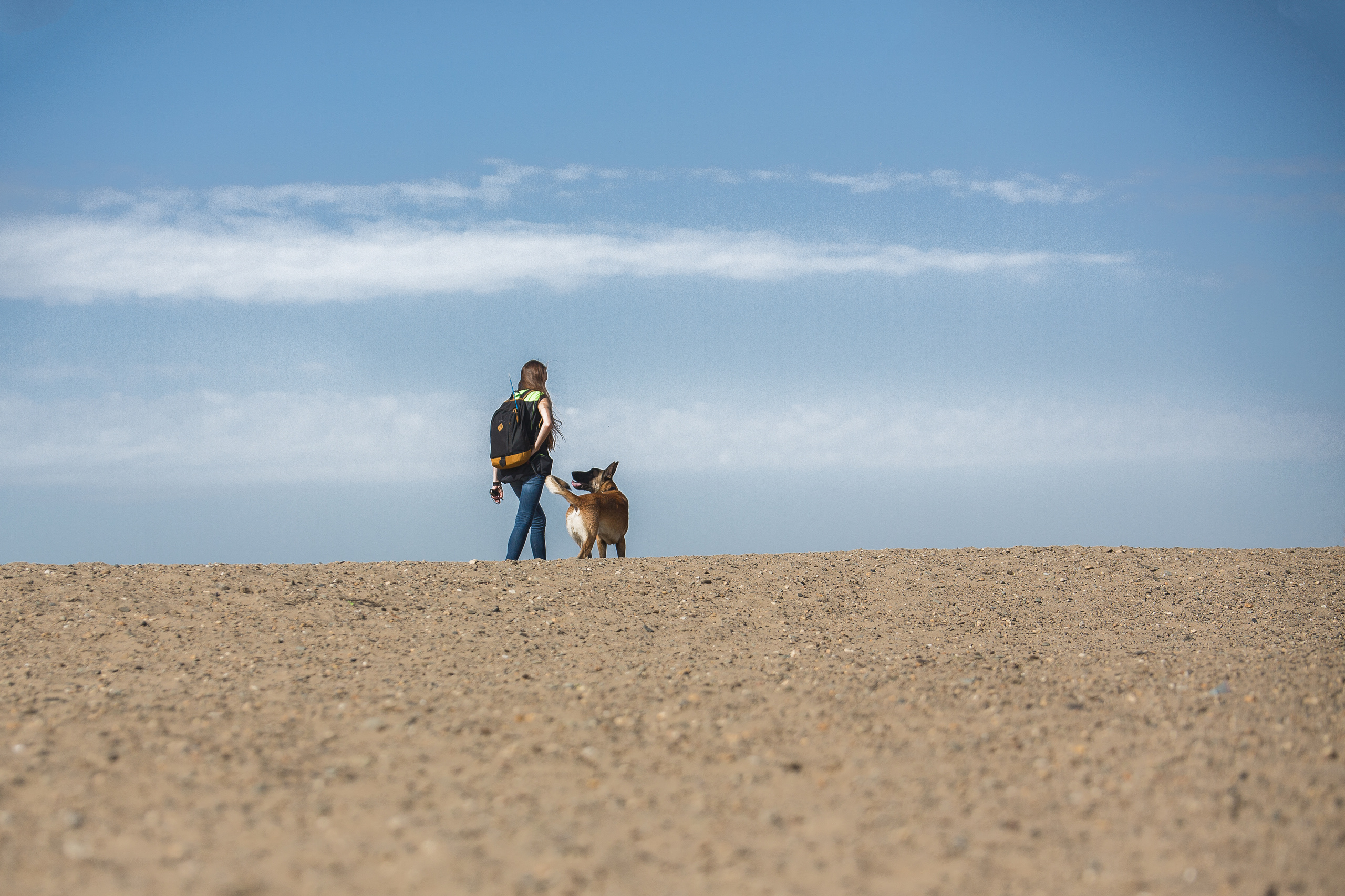 Фотосессия  собак. Фотограф в Новосибирске