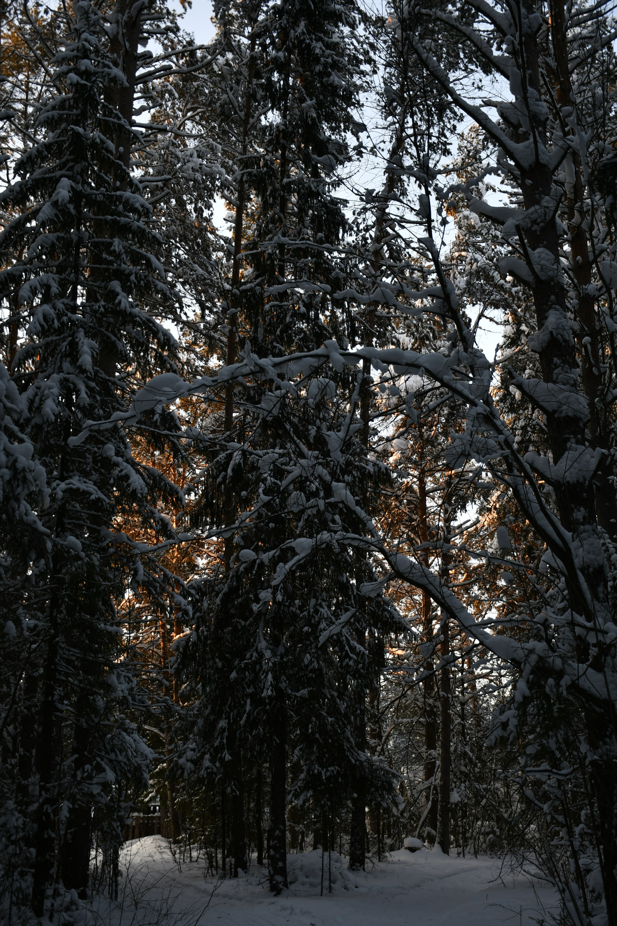 Природа. Анастасия Куц | Роскошь быть собой