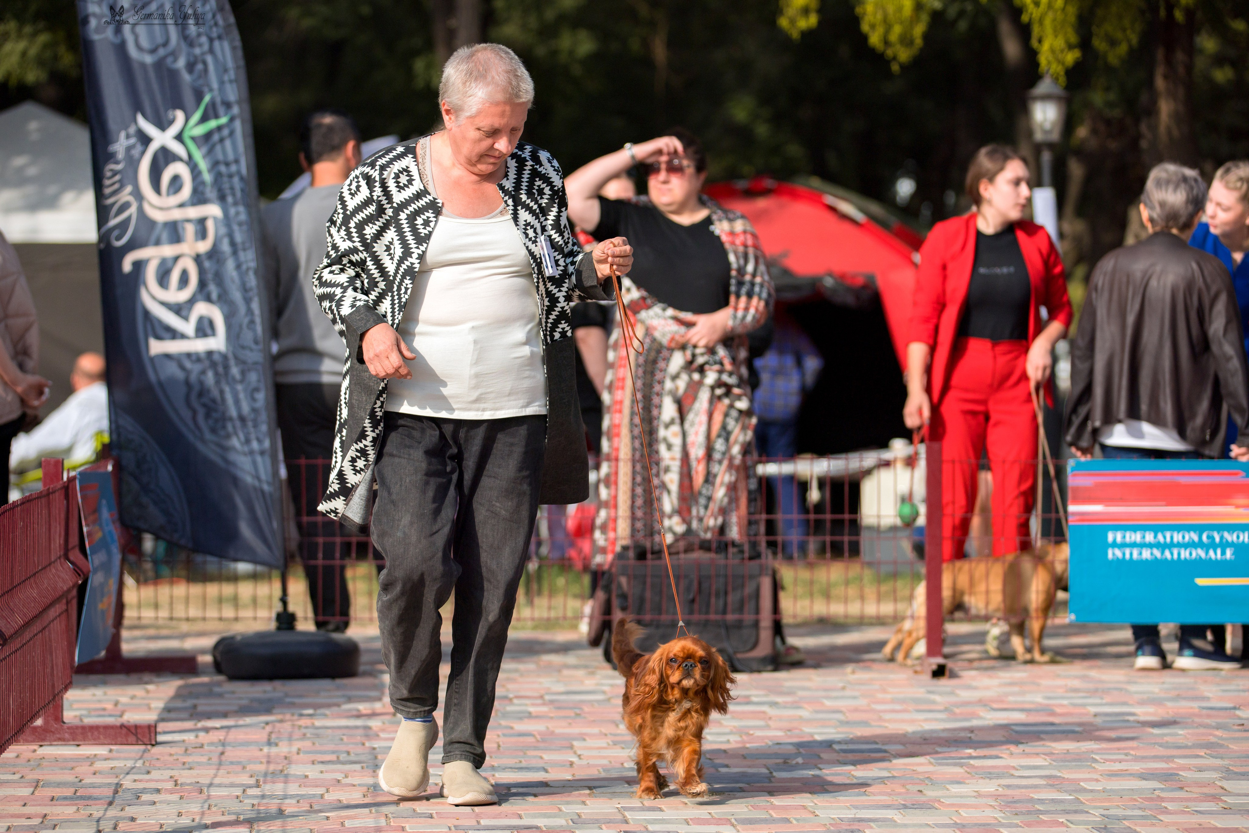 Ташкент 6-8.10.2023 + Алматы 14-15.10.2023. Фотограф-анималист Юлия Германика