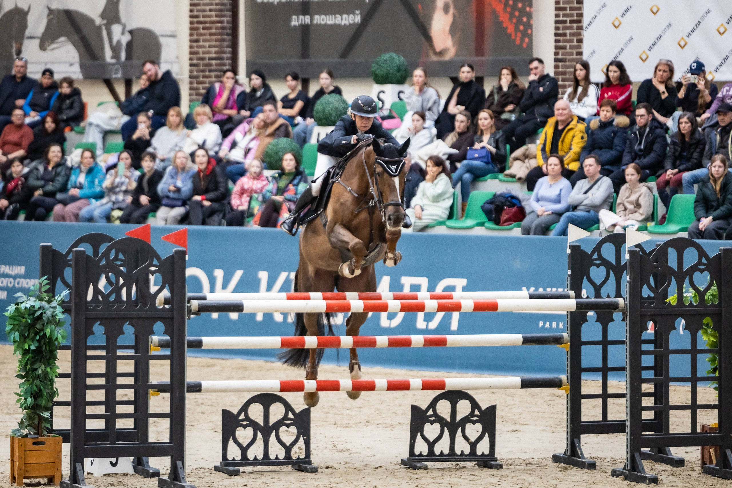 Кубок Кремля по Конкуру 12.04.25. Фотограф Владимир Охрименко