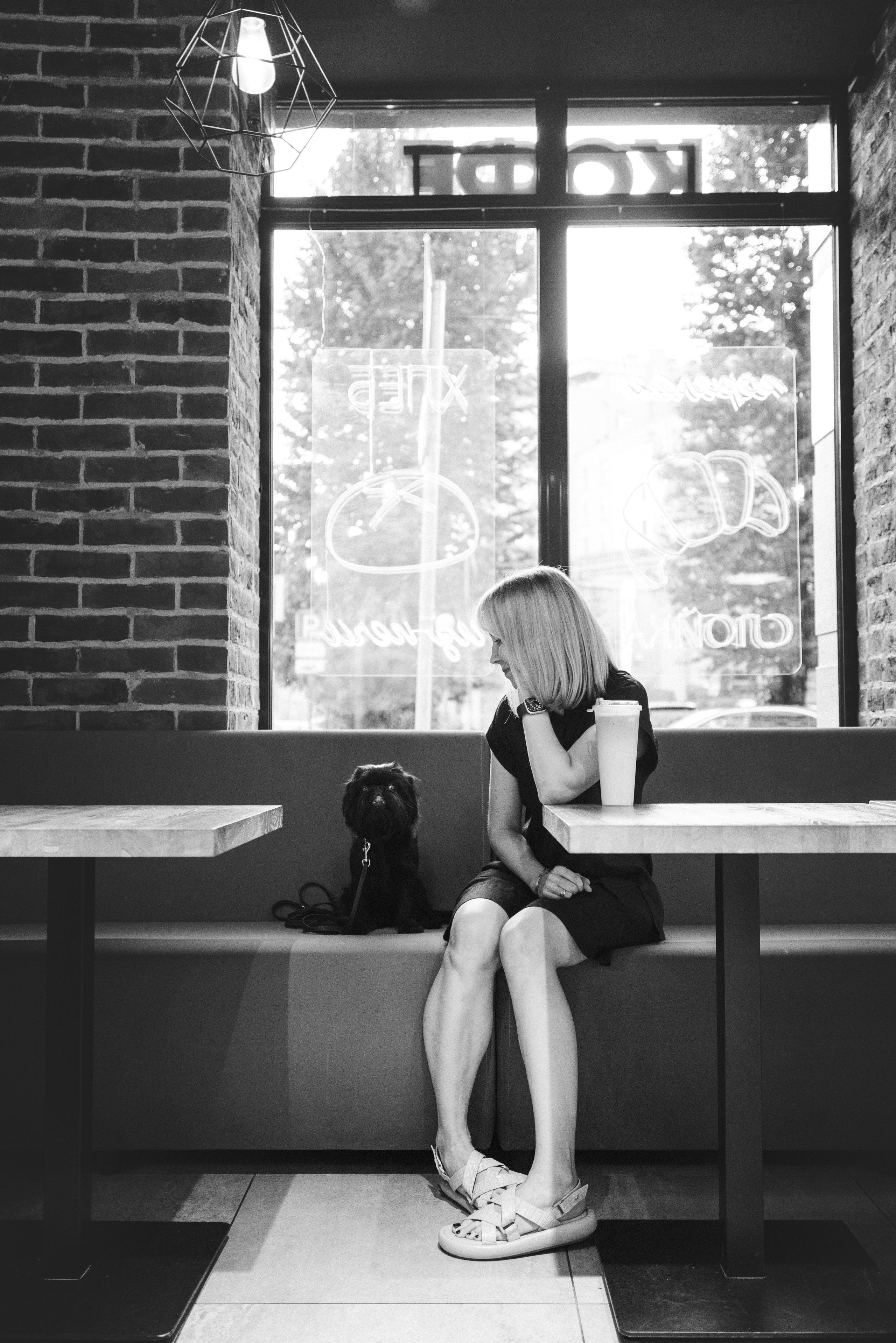 Ася и Кузя. Фотограф анималист Осипчикова Мария