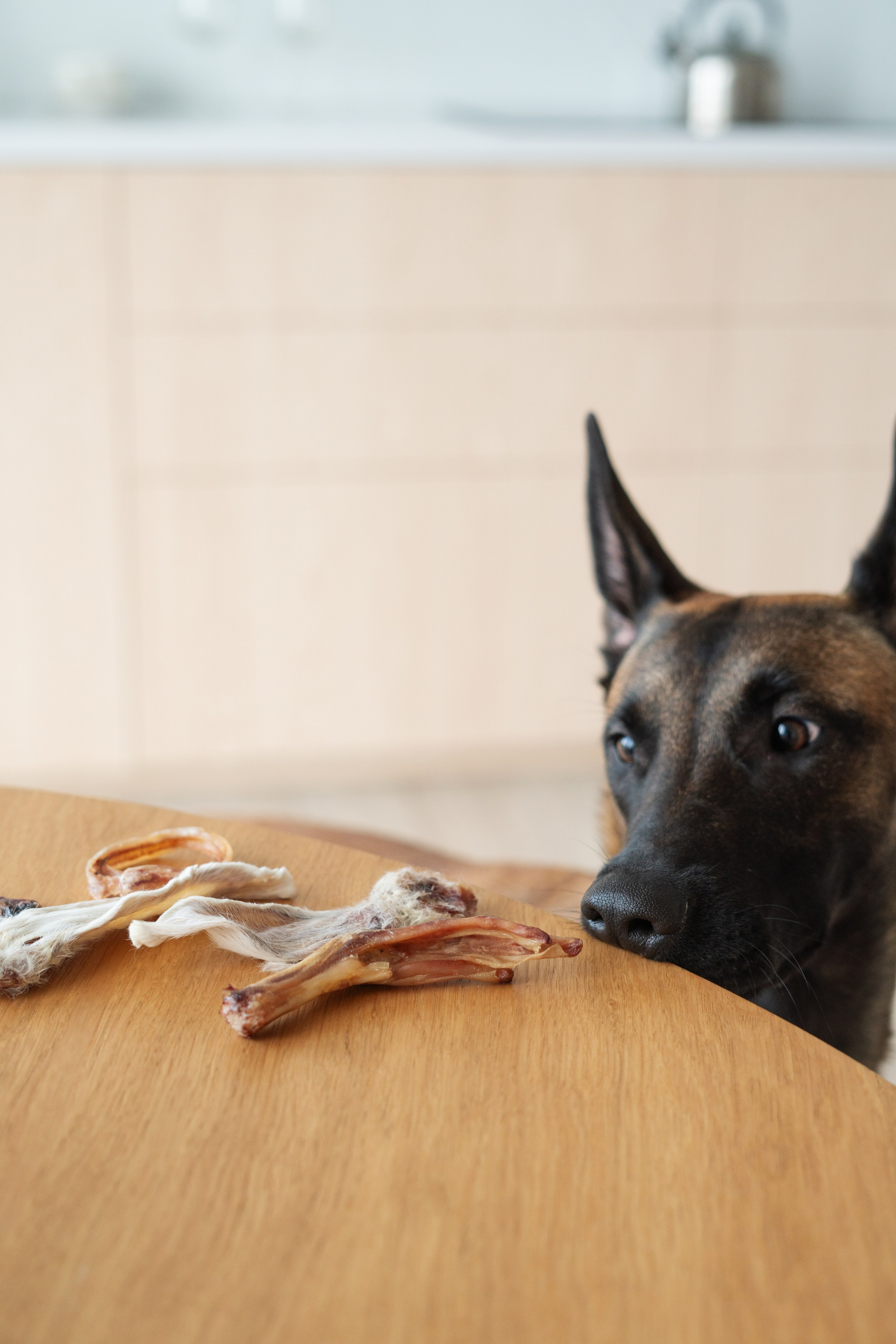 Лакомства Woofa. Фотограф анималист Осипчикова Мария