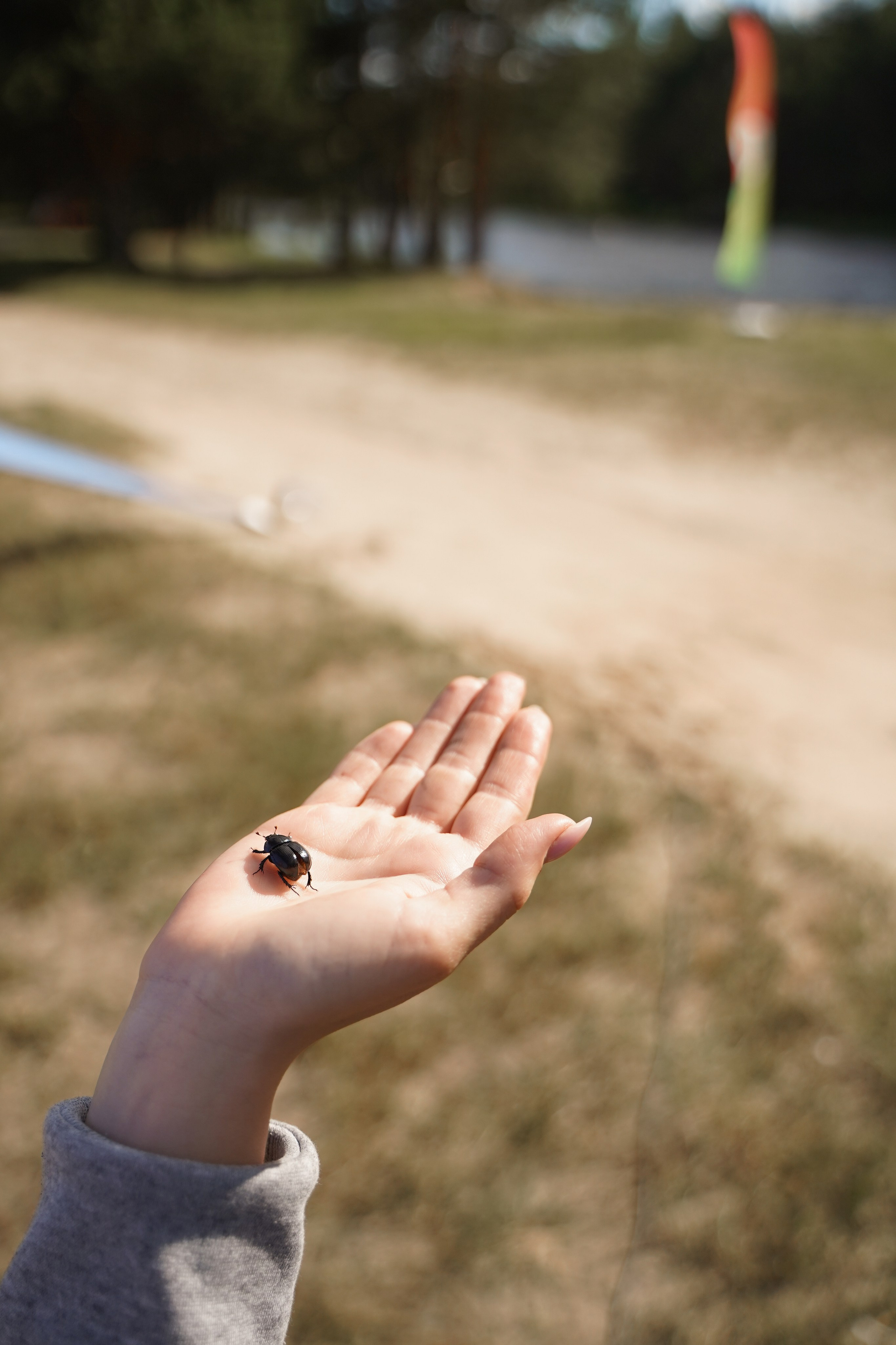 Эко-сборы добровольцев «О! Пушка» в национальном парке «Мещерский» 2024. Фотограф Надежда Погребняк | Рязань | Москва