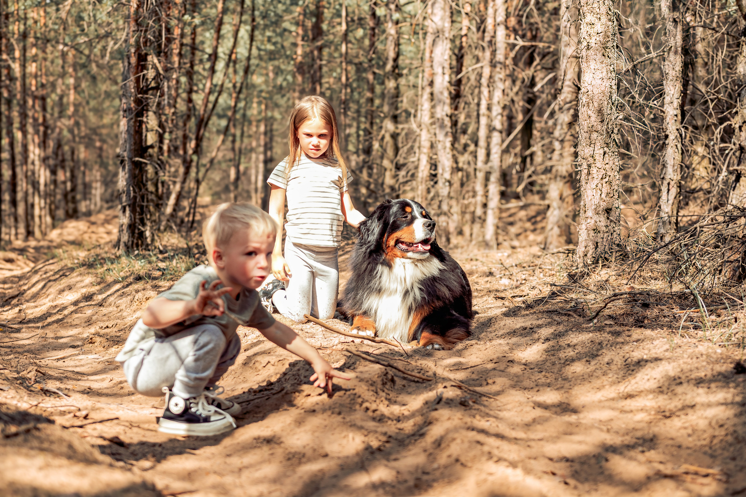 Семейная фотосессия в лесу