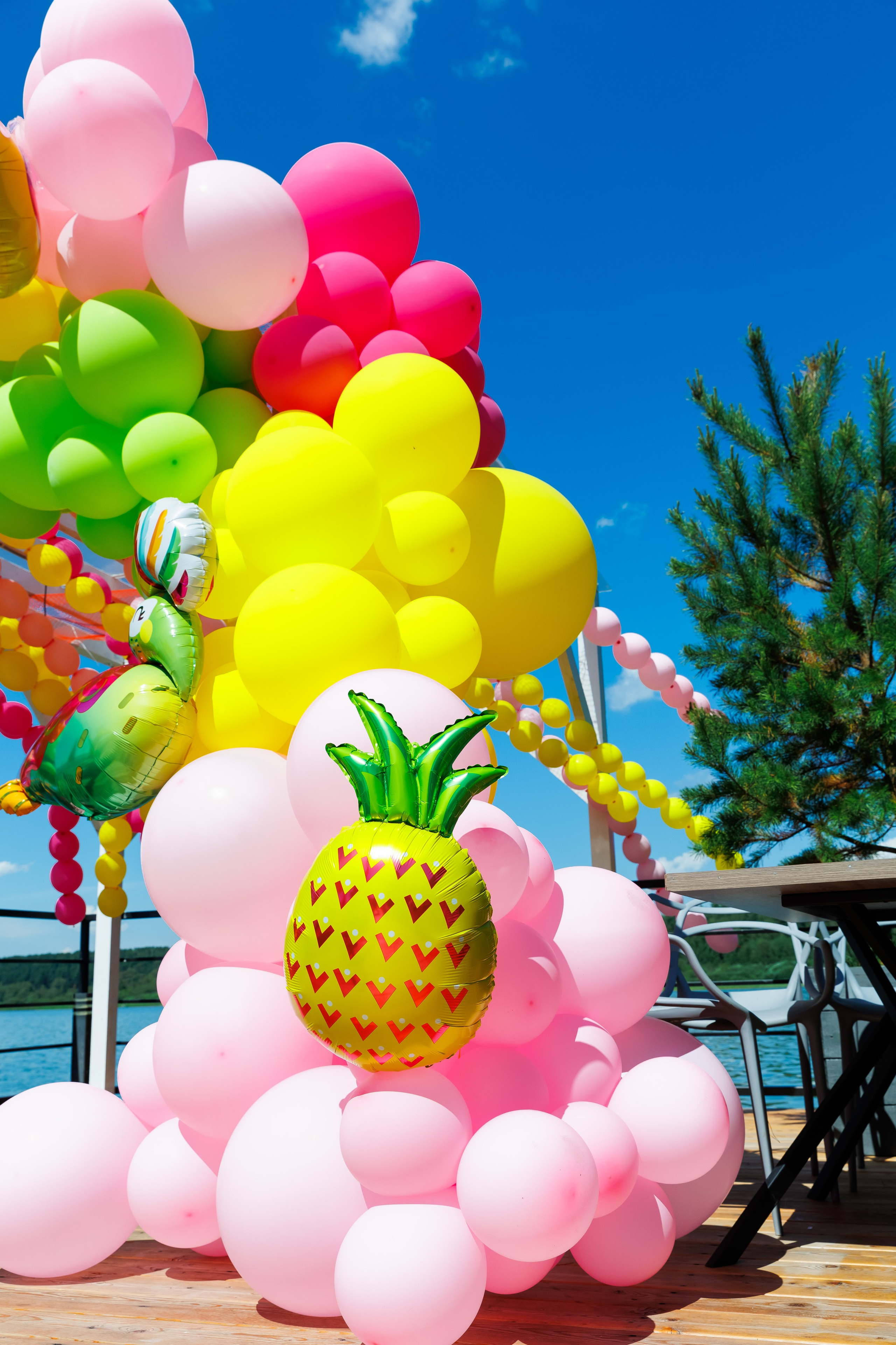 Летняя вечеринка декораторов ШИУ. Фотограф Новосибирск — Наталья Гресь