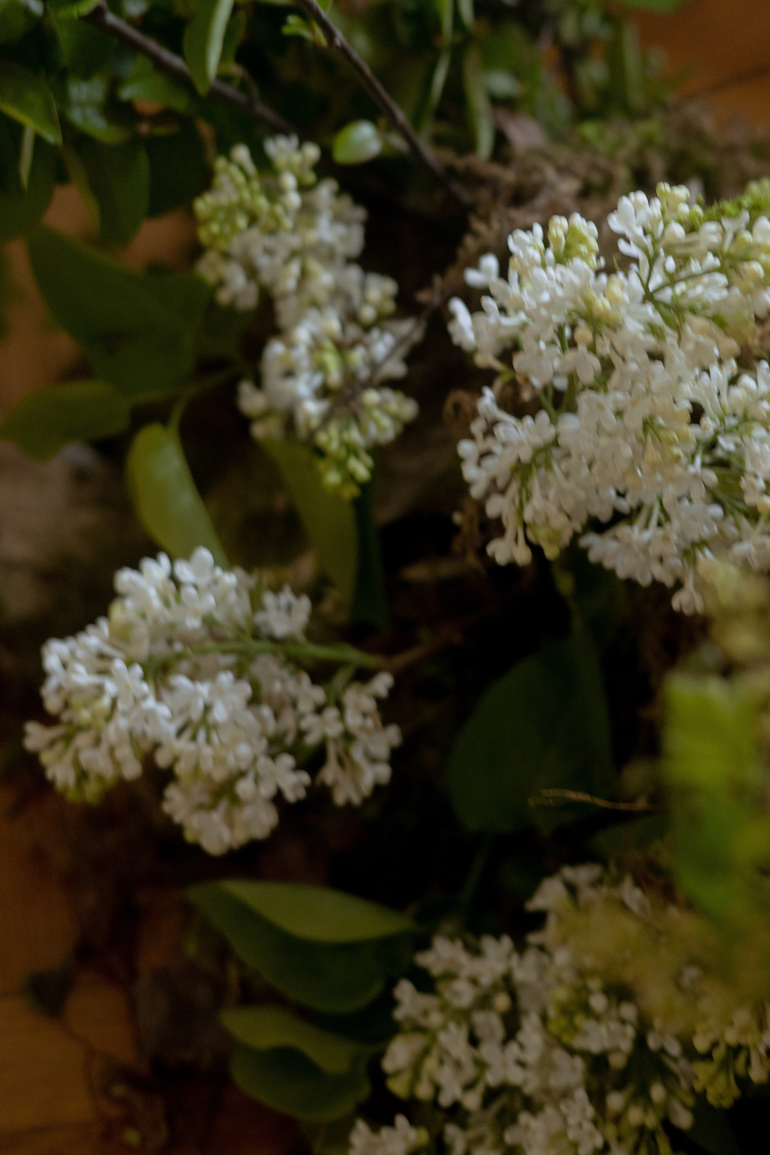 Утро Есении. Оформление свадеб, декор свадеб Вера Маркова, Москва