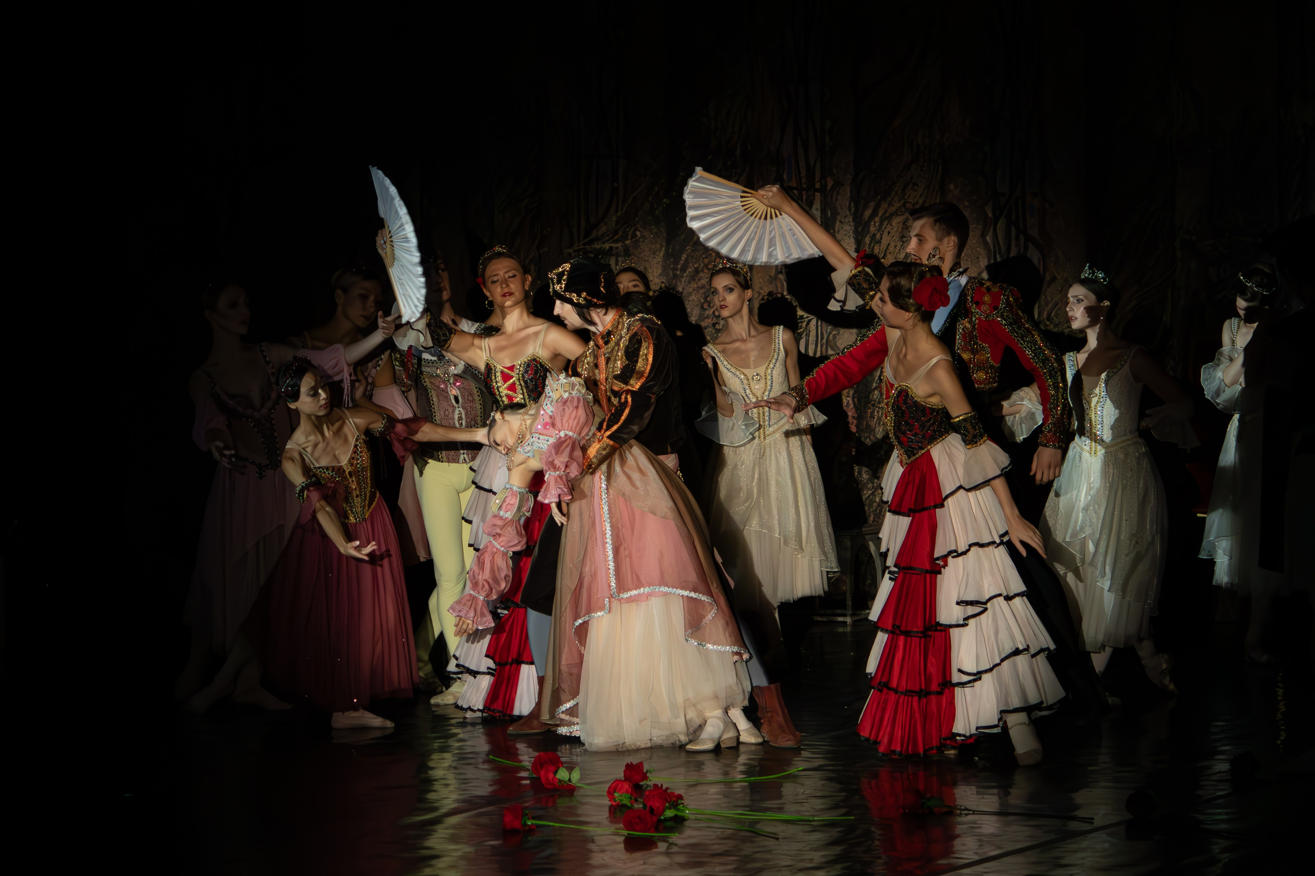 Лебединое озеро. Имперский русский балет. Фотограф в Нижнем Новгороде Екатерина Хисматулина