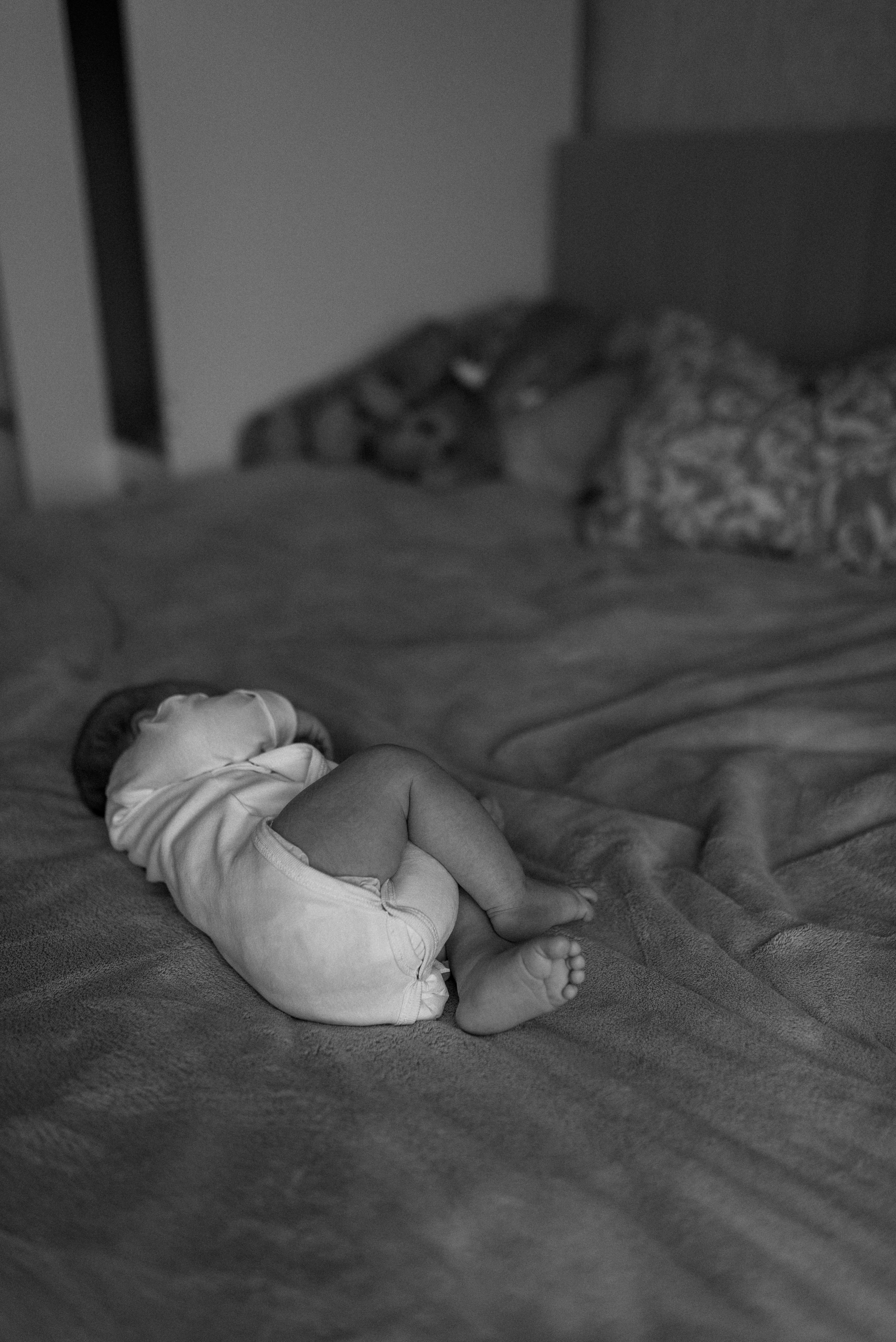 Всеволод. Семейный фотограф в Москве Екатерина Север