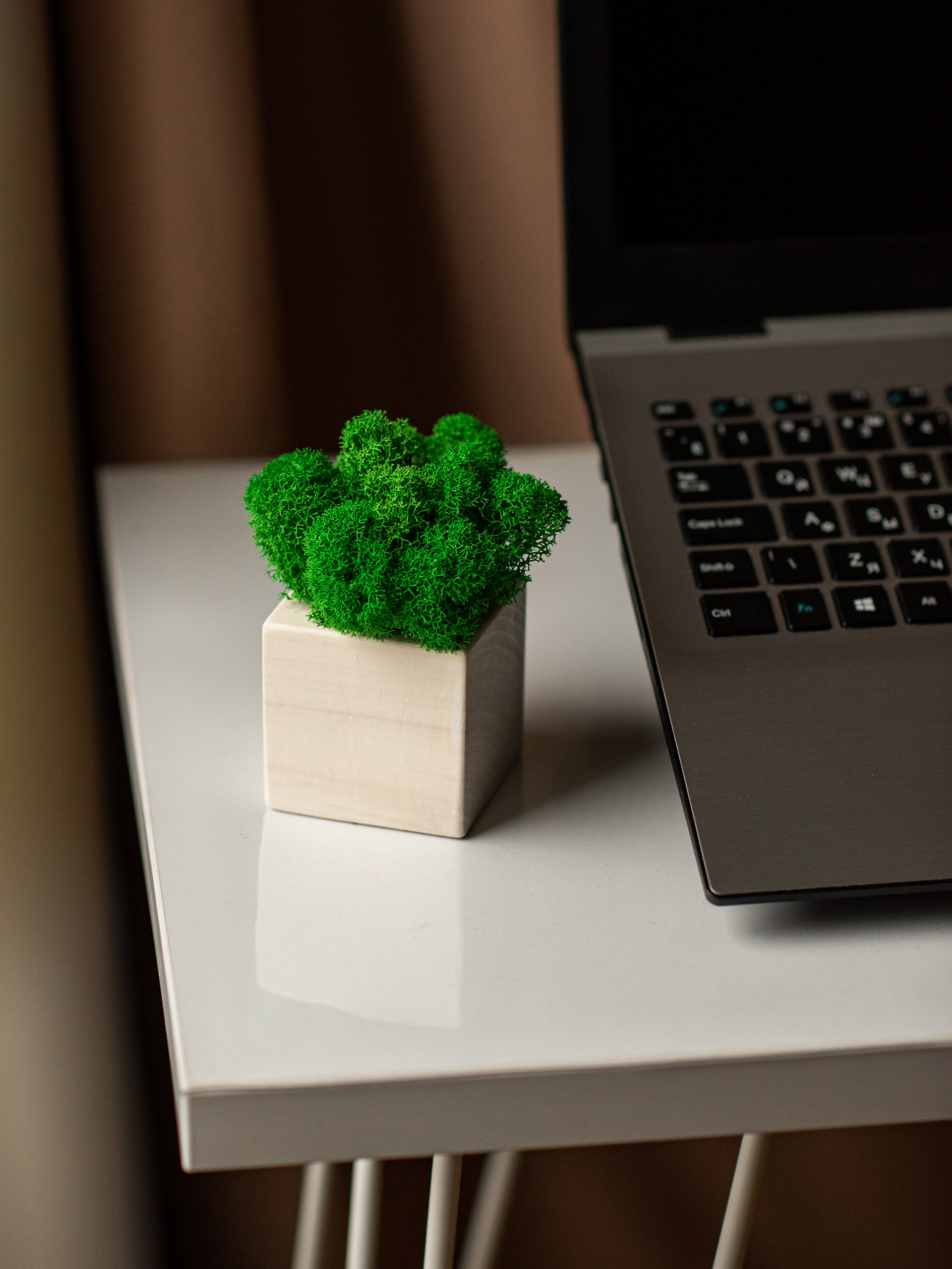 Предметная фотосъемка. Семейный и Свадебный фотограф. Санкт-Петербург. Пушкин