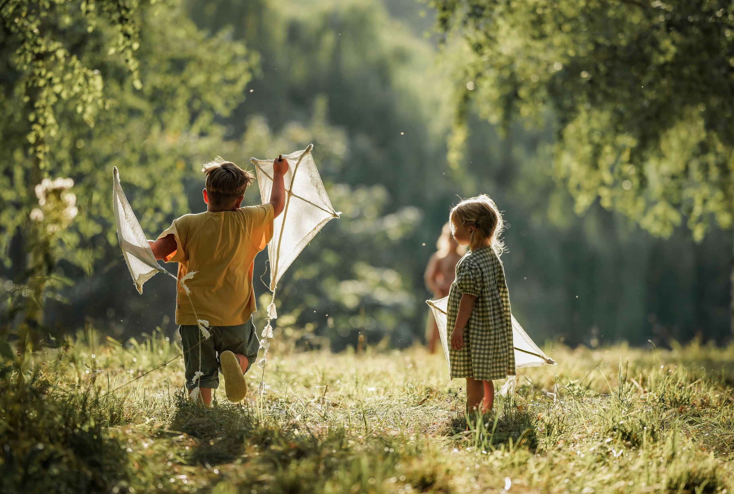 Воздушный змей. Семейный фотограф Ефремова Виктория