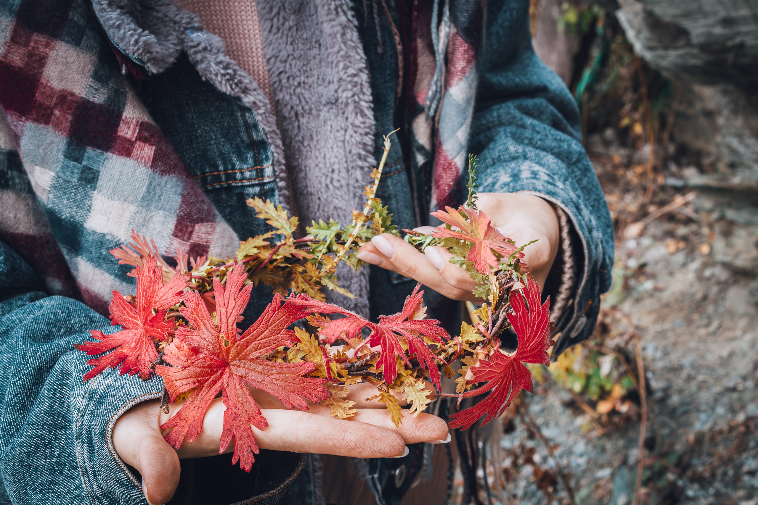 Фотографии Горного Алтая. Фотограф в Новокузнецке