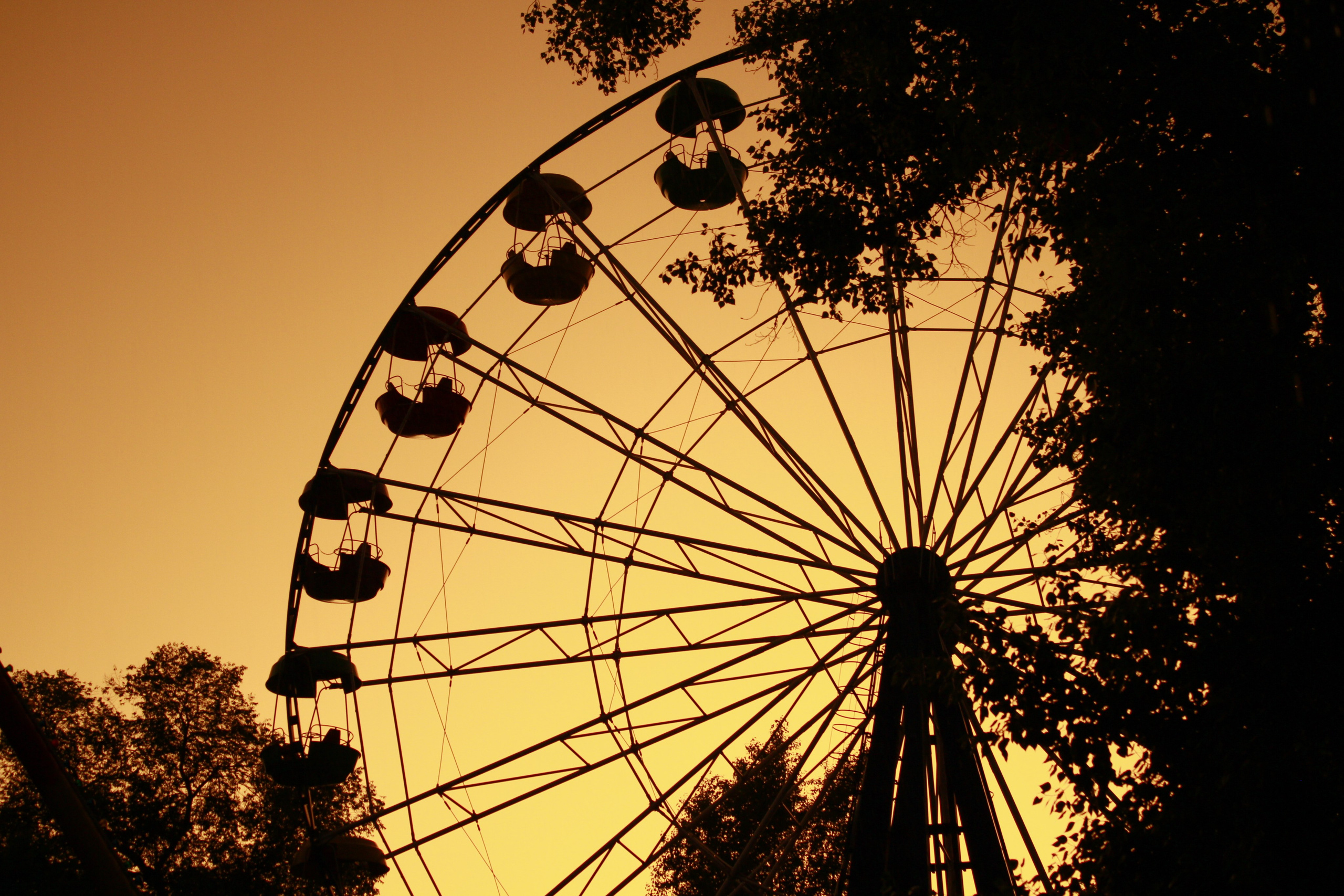 Новокузнецк. Фотограф в Новокузнецке