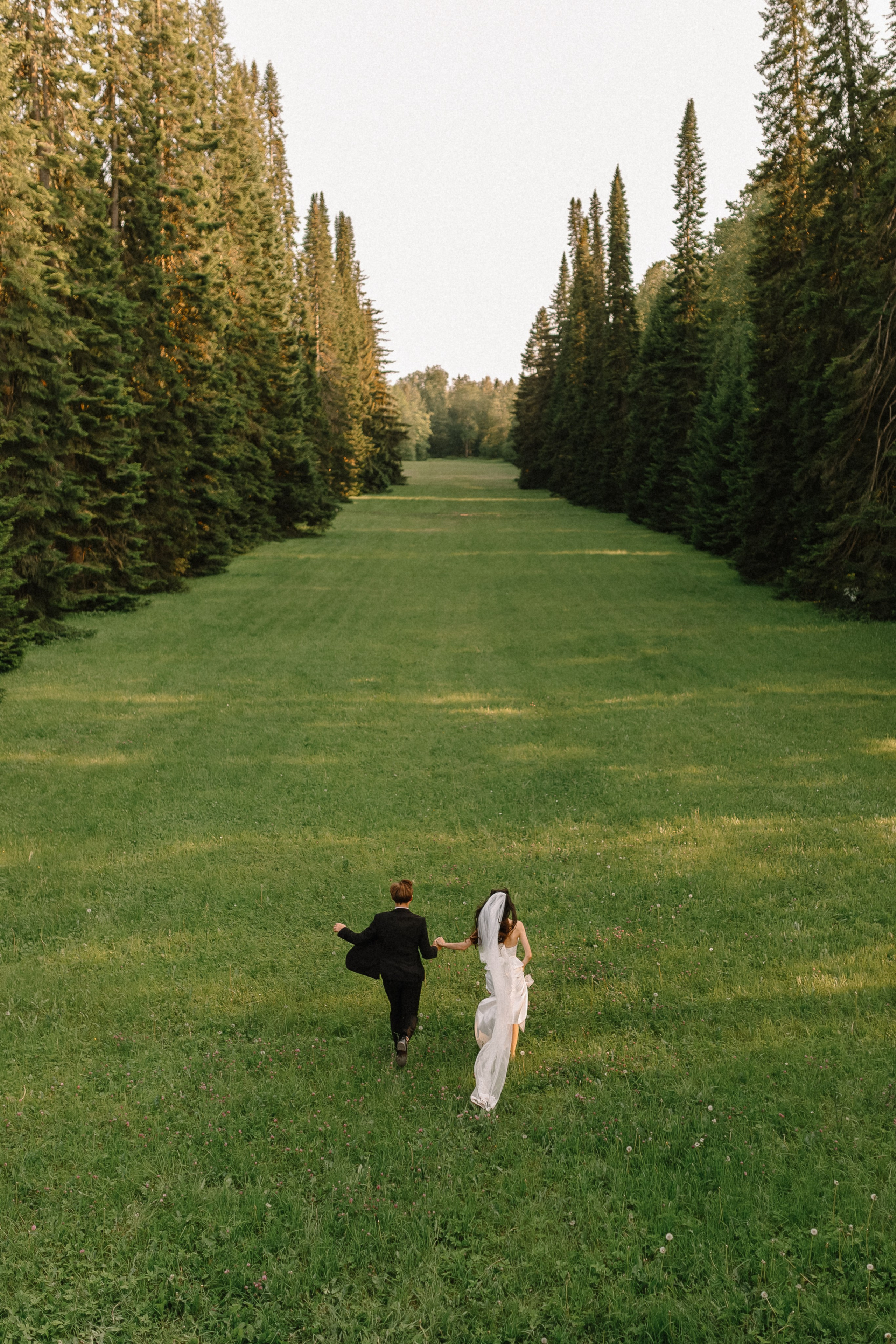 Летний Ораниенбаум. Николь — ваш любимый фотограф в Санкт-Петербурге