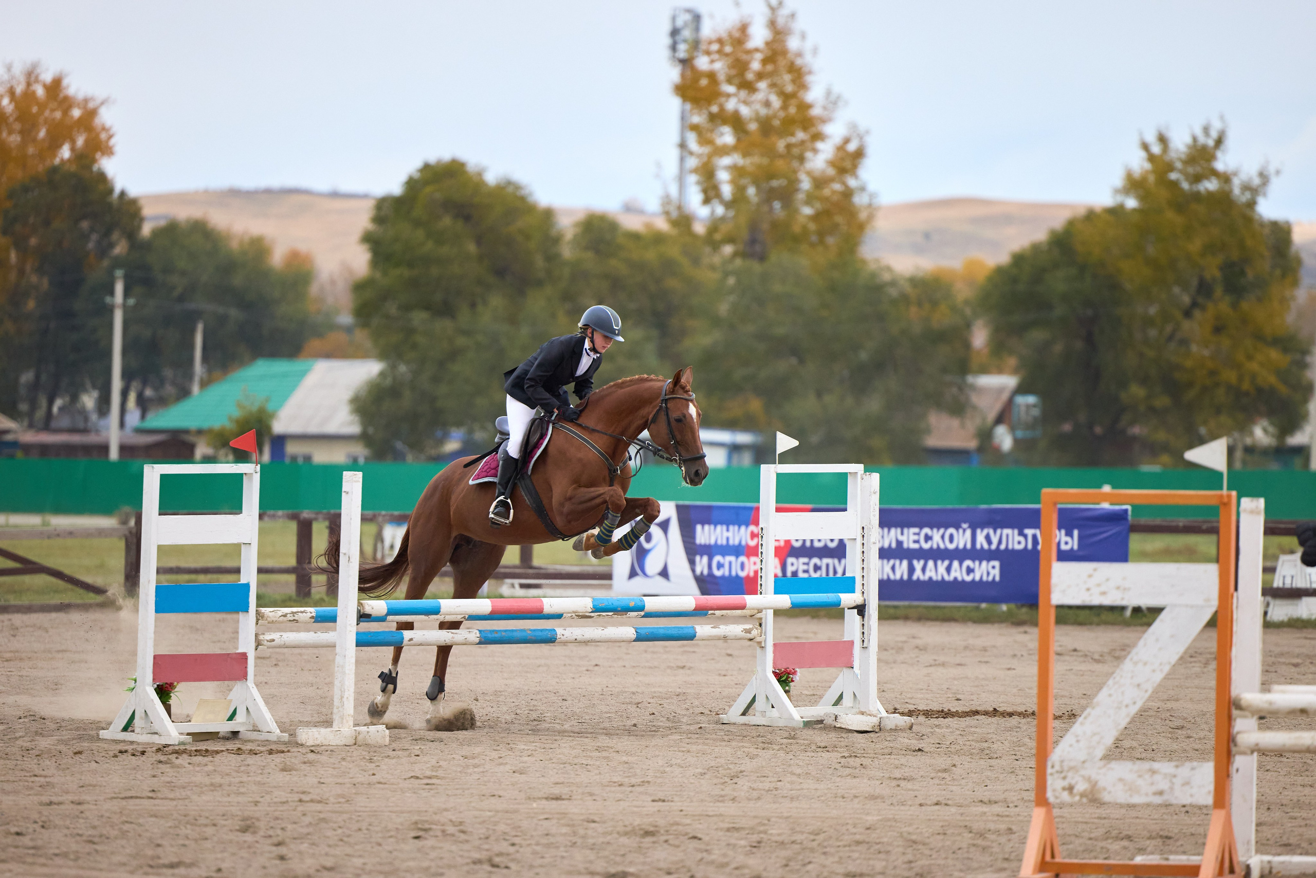 Конкур на Абаканском ипподроме. Ваши Истории. Фотограф/видеограф. Абакан