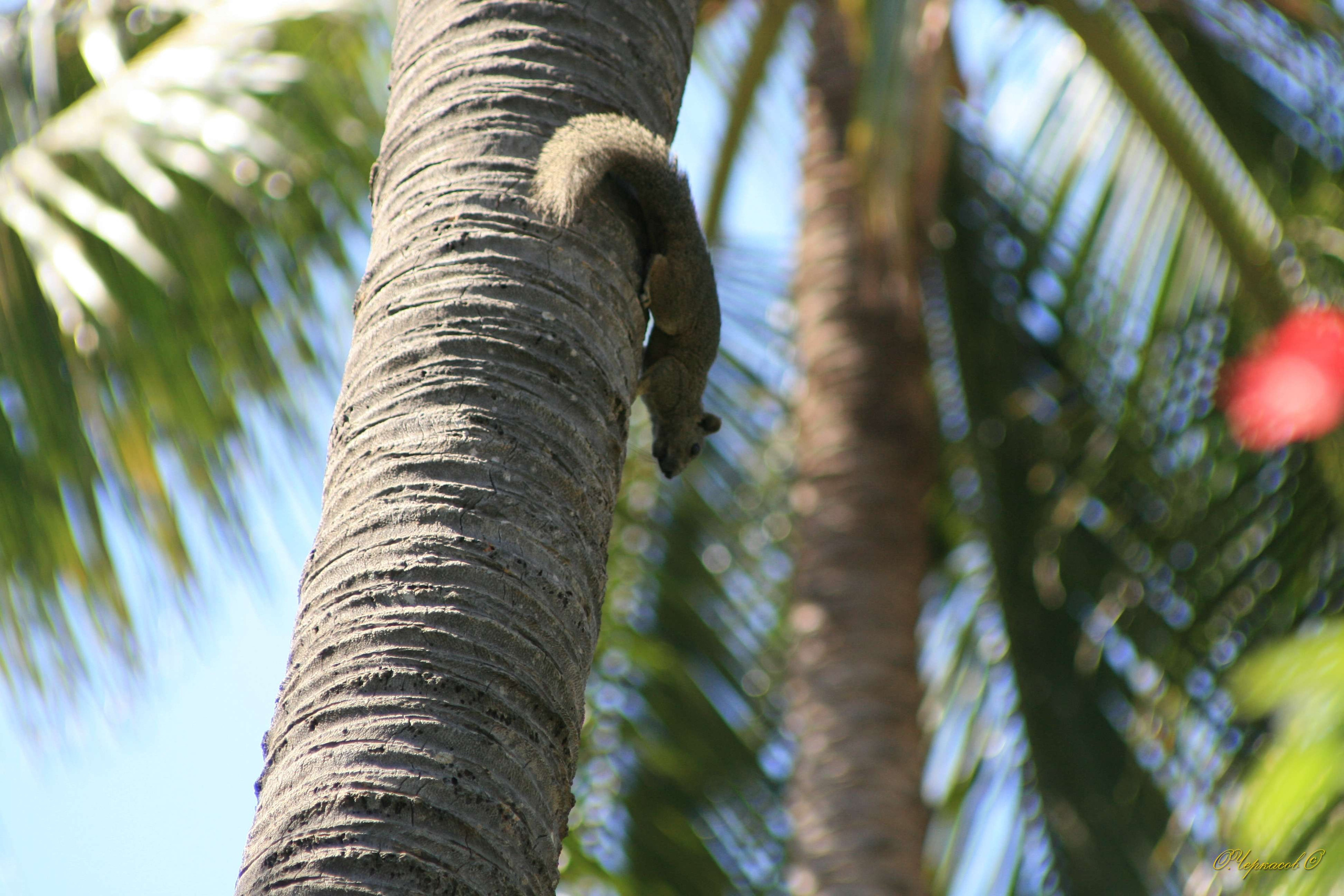Вьетнам 2008 г. Улица, люди, жизнь…