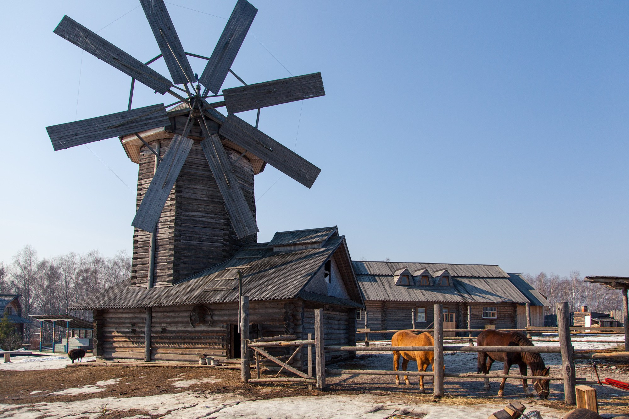 Кино. Антон и Татьяна Денисенко