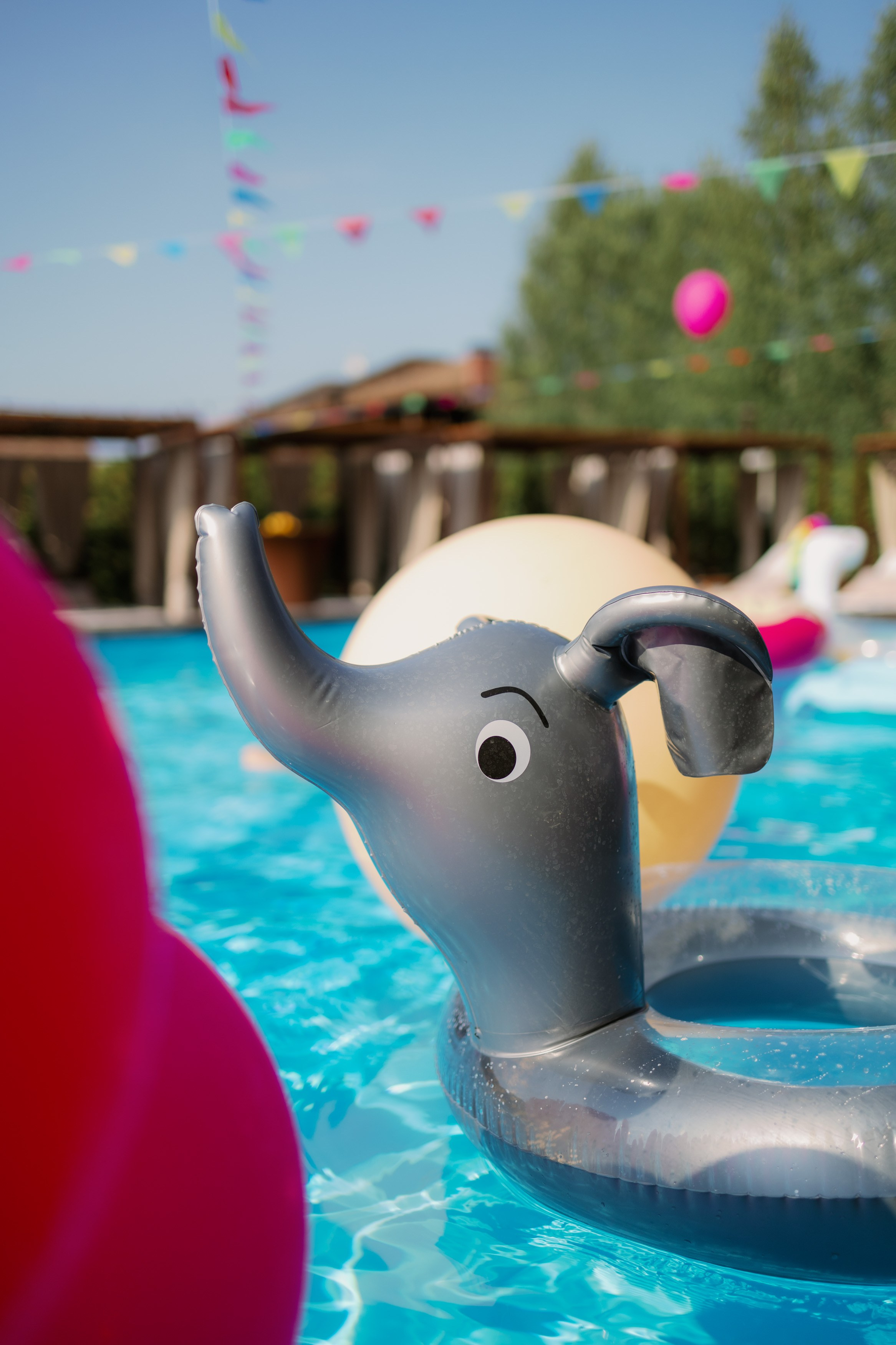 День рождения. Свадебный фотограф Георгий Батурин