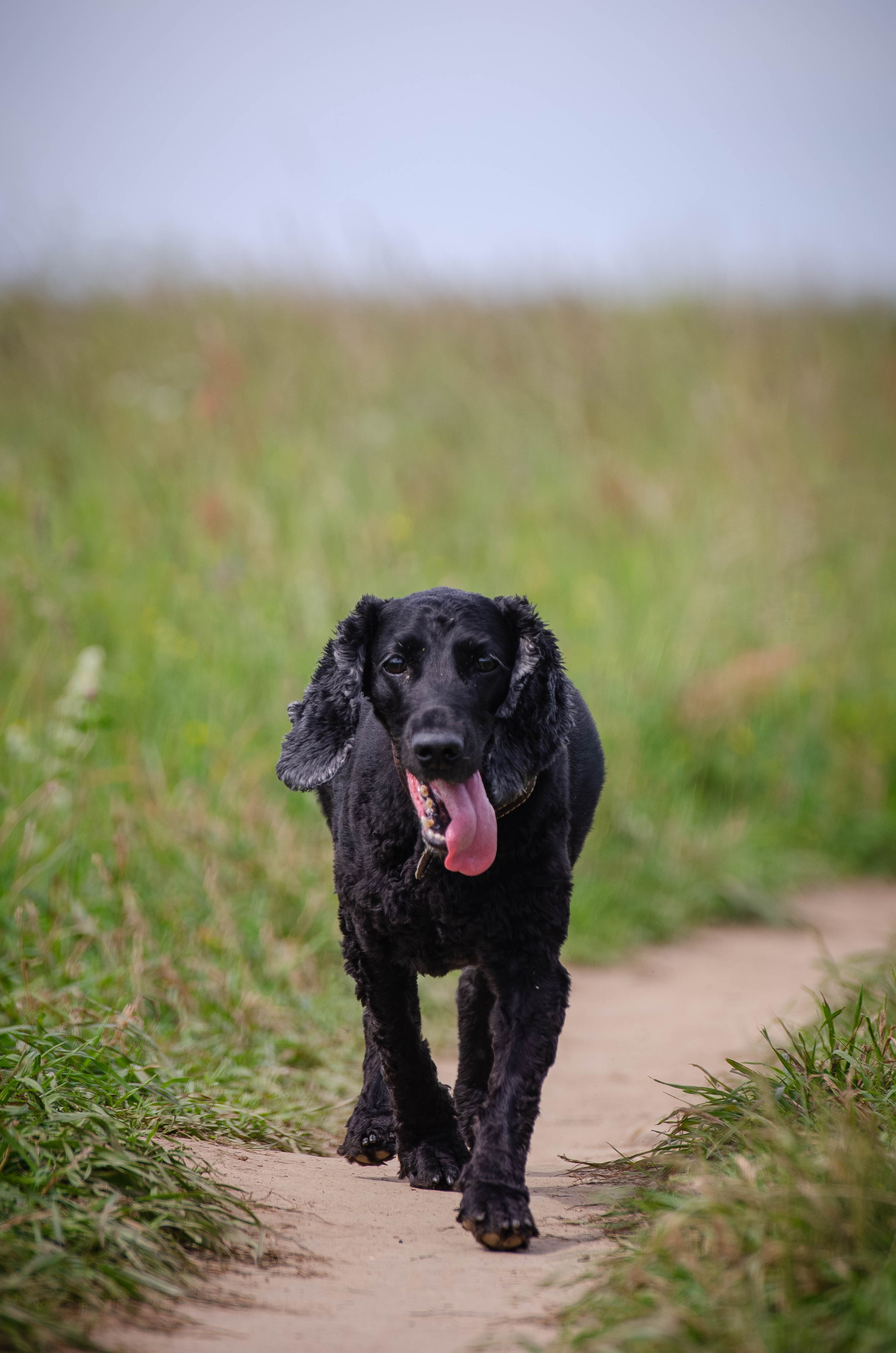 Прогулка (Лохин остров). Фотограф Светлана Блинова, Москва и Московская область
