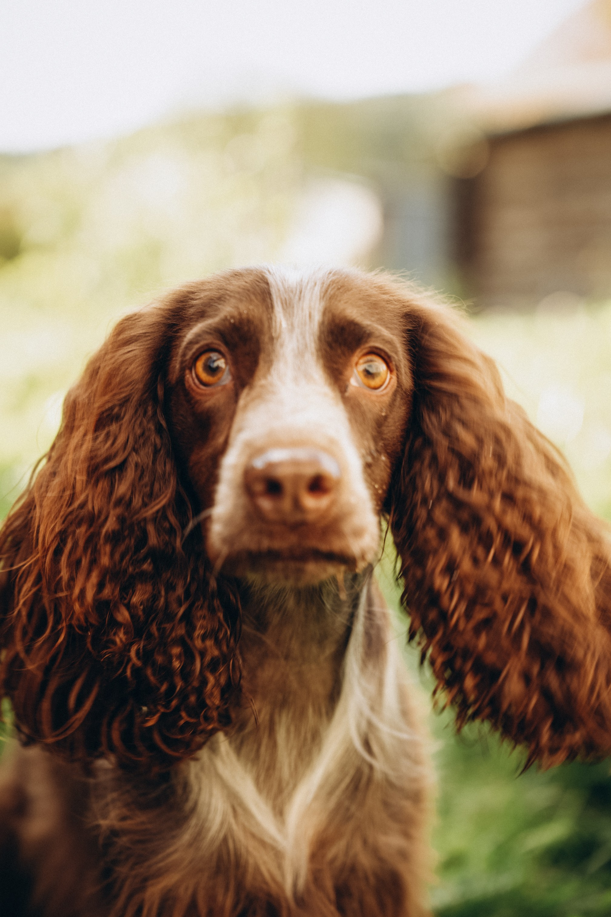 Семейная история. Семейный свадебный фотограф Екатеринбург Первоуральск Шарнина Алёна