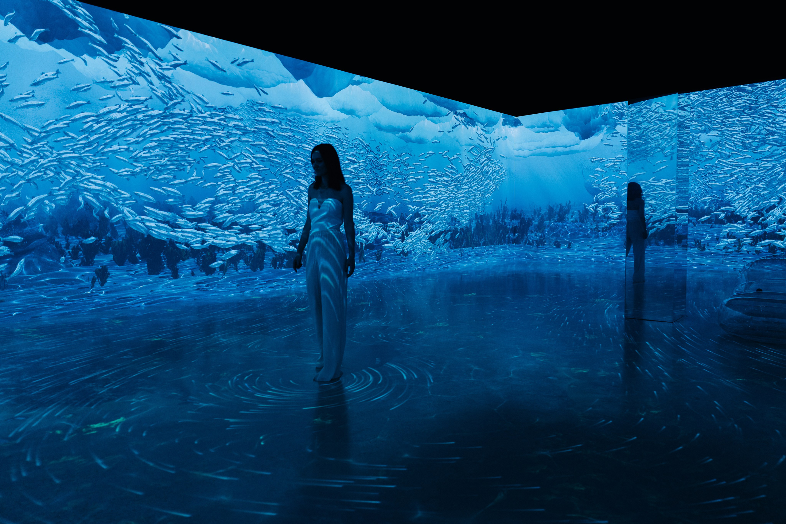 VI Ocean, Tutankhamun, SILA SVETA. @tomrus: Рустам Шагиморданов — фотограф