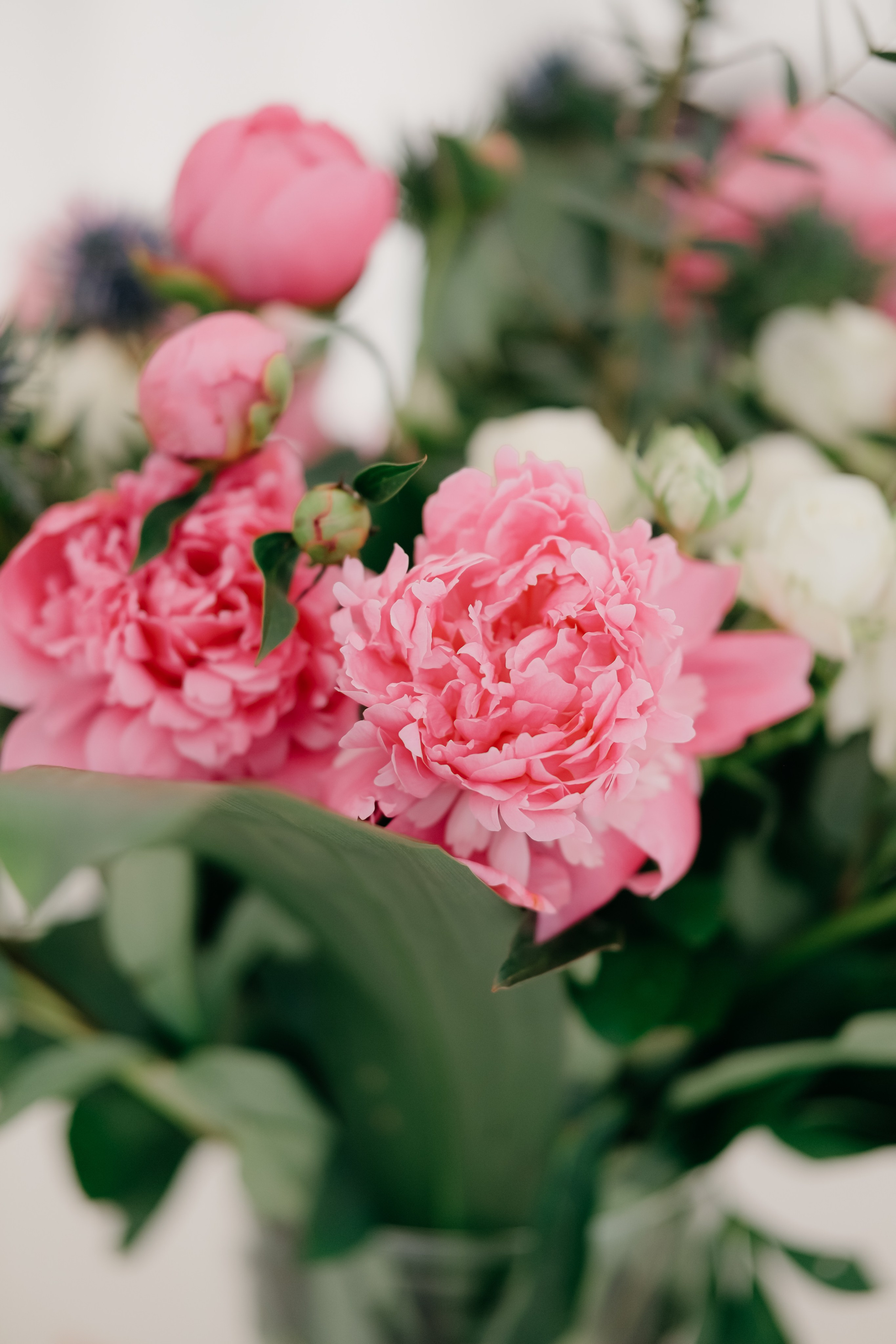 Денисофф. Фотограф в Москве Дмитрий Рогов