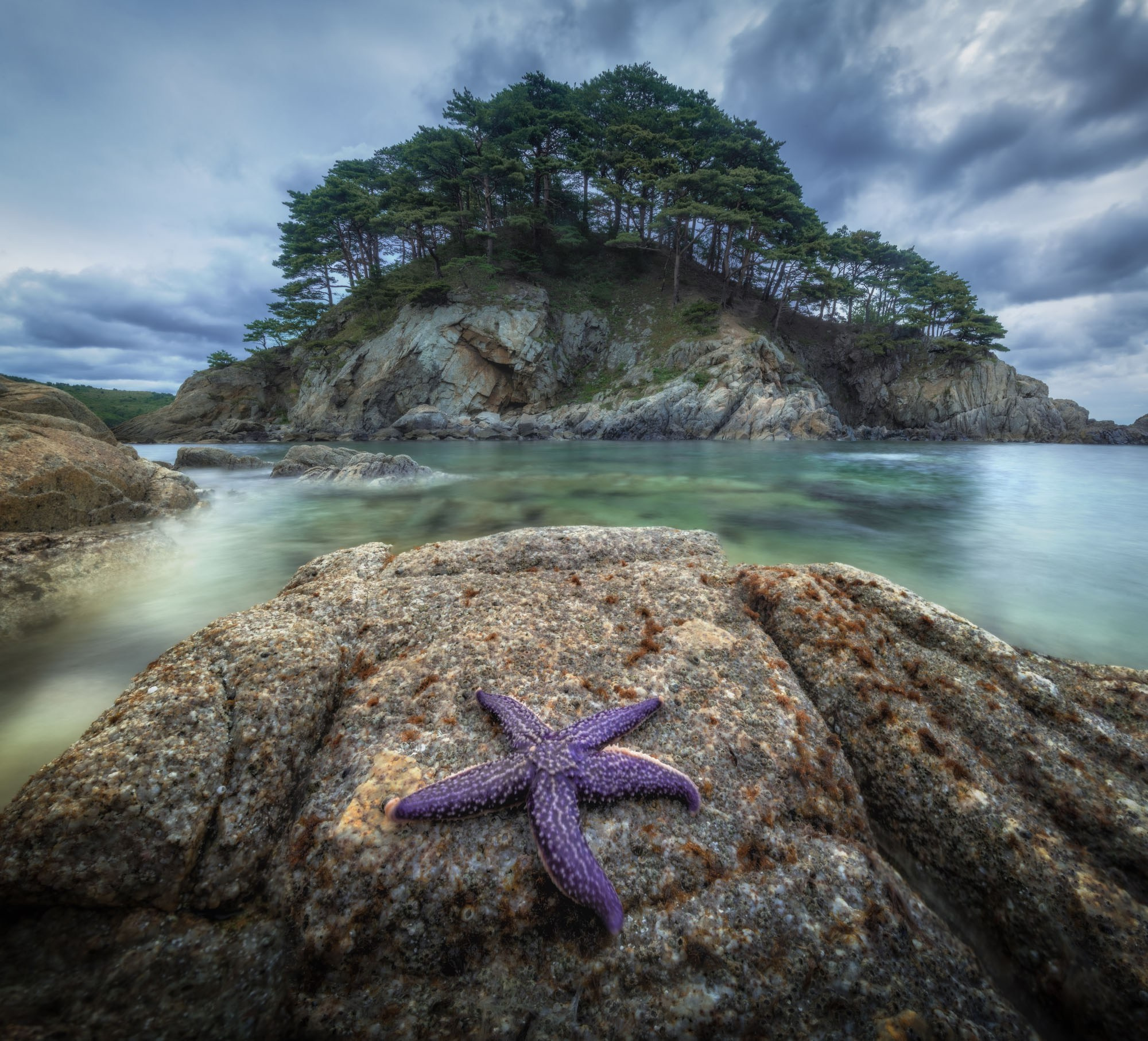 Фотографии Приморье