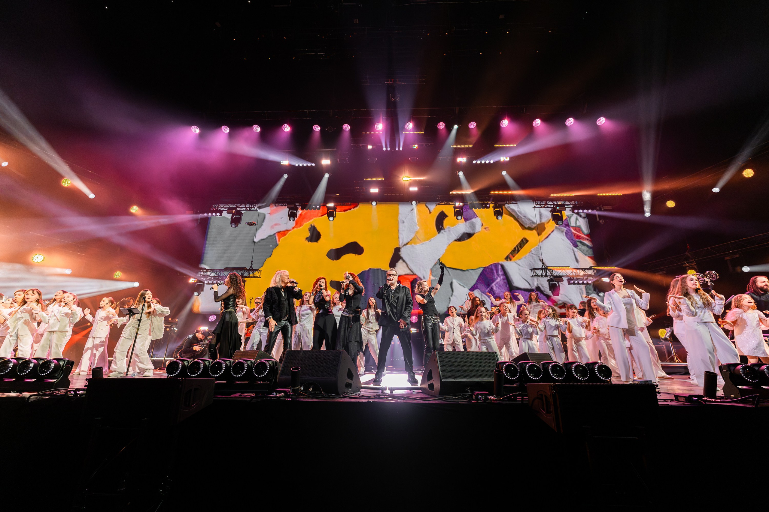 Владимир Пресняков. Магия музыки в кадре: Концертная Фотография