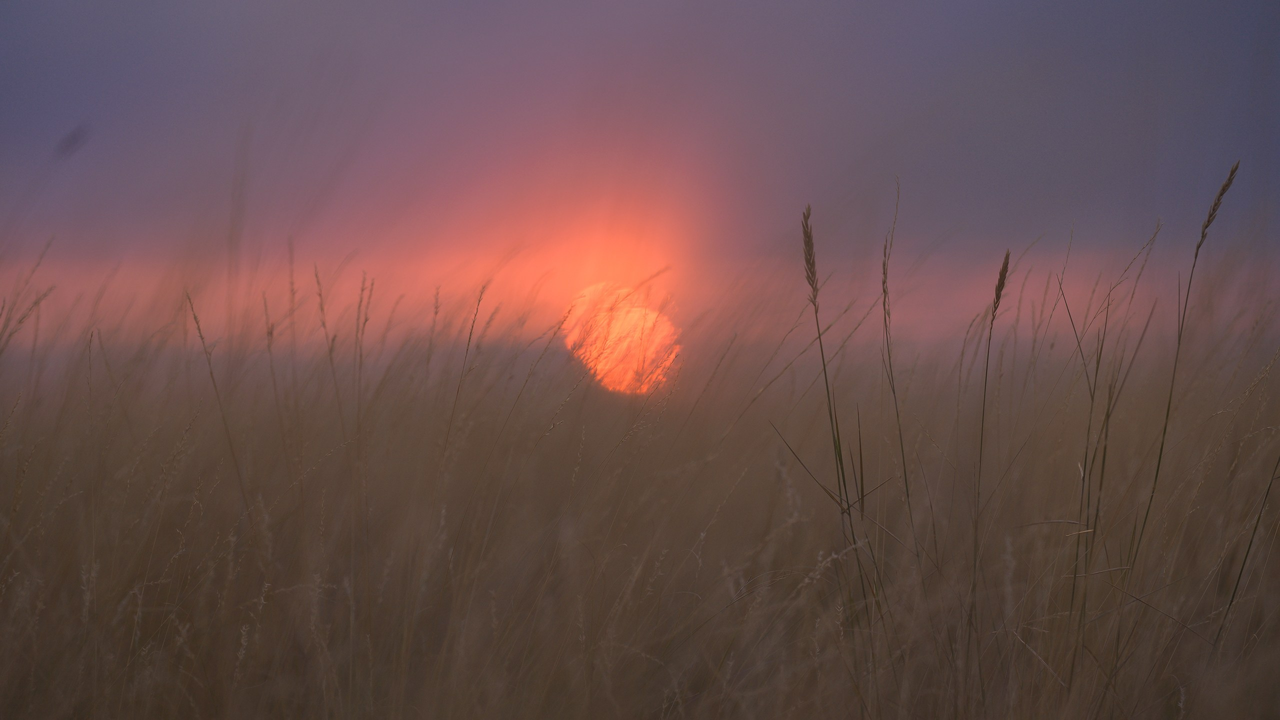 Оренбуржье. Портретный фотограф в Челябинске Катерина Руди