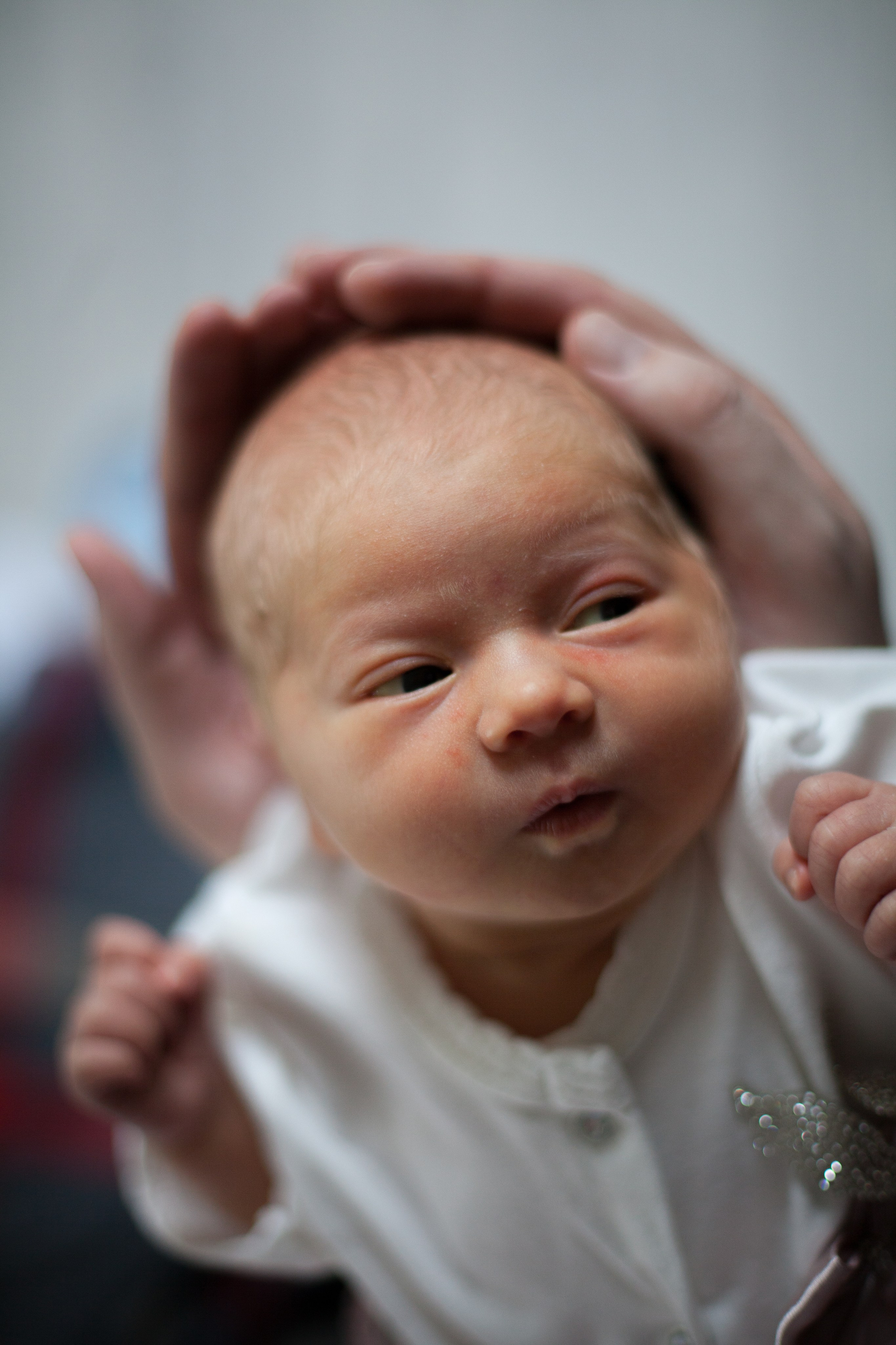 Новорожденные. Фотограф в Москве Наталья Антипина