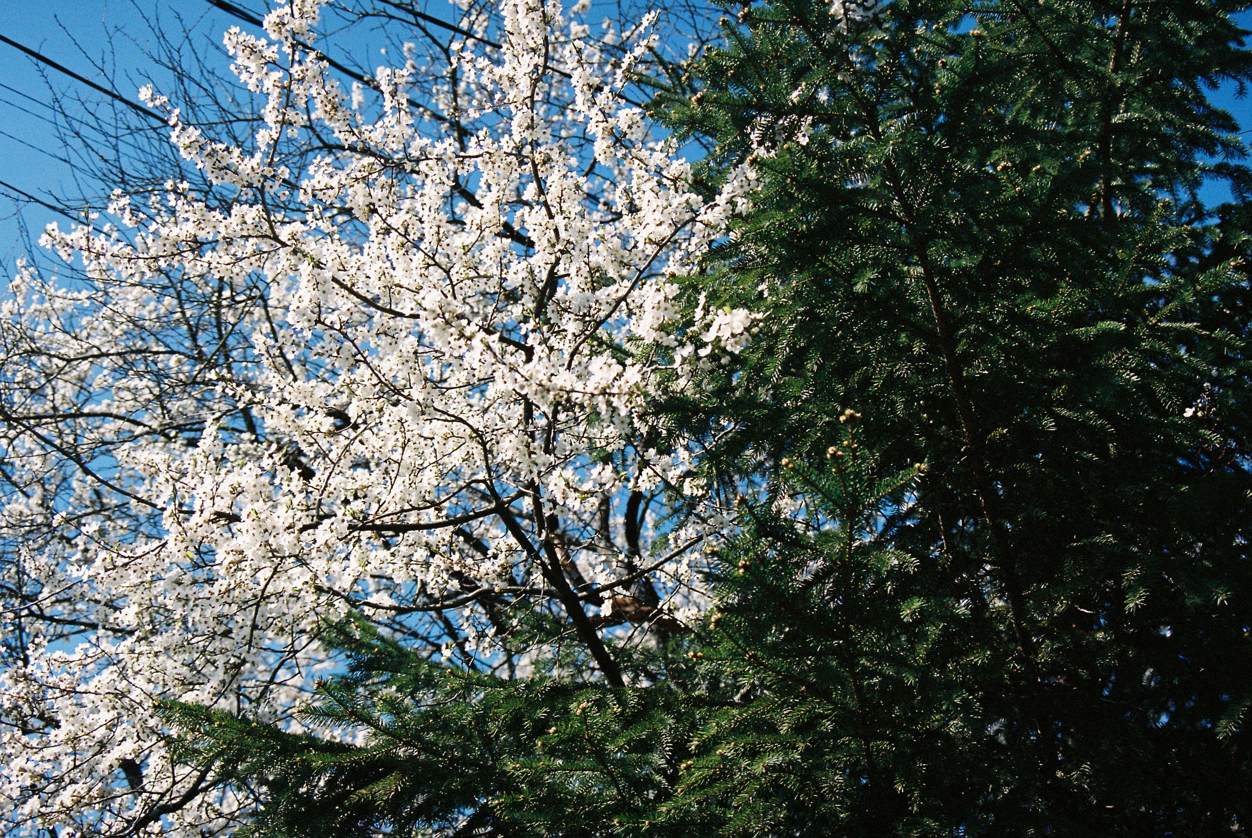 Путешествия. Anastasiia Kron