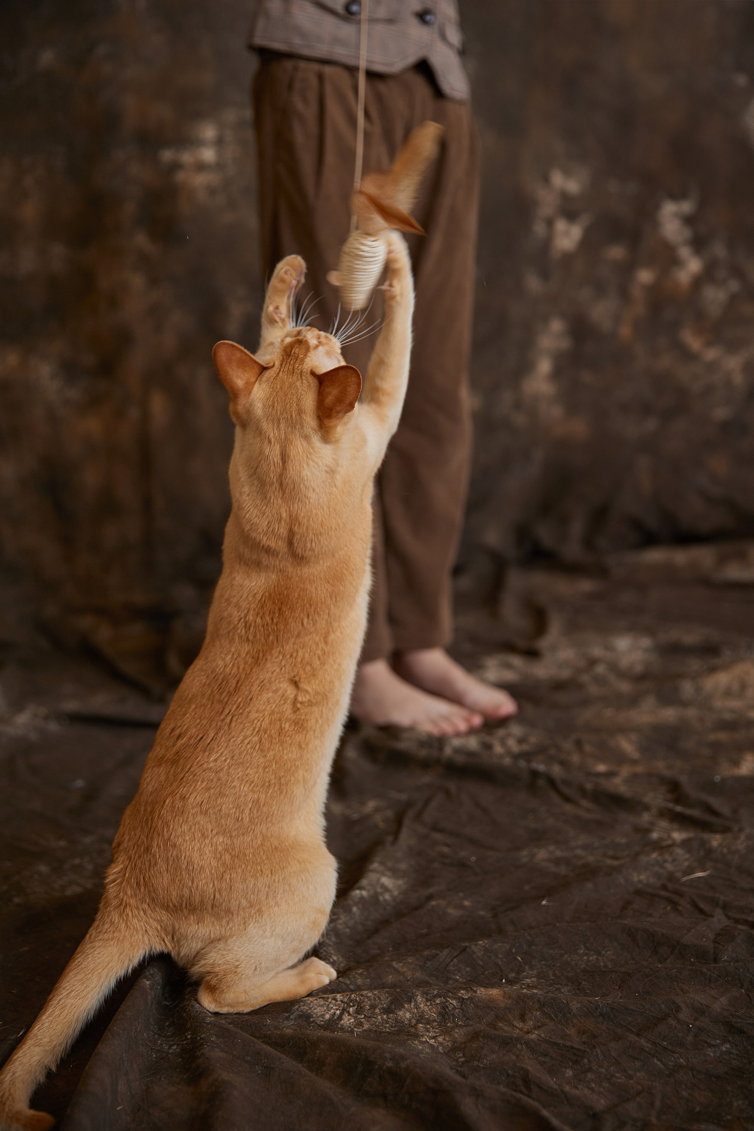 Полина. Фотограф женского портрета, беременности и материнства Харькова Елена