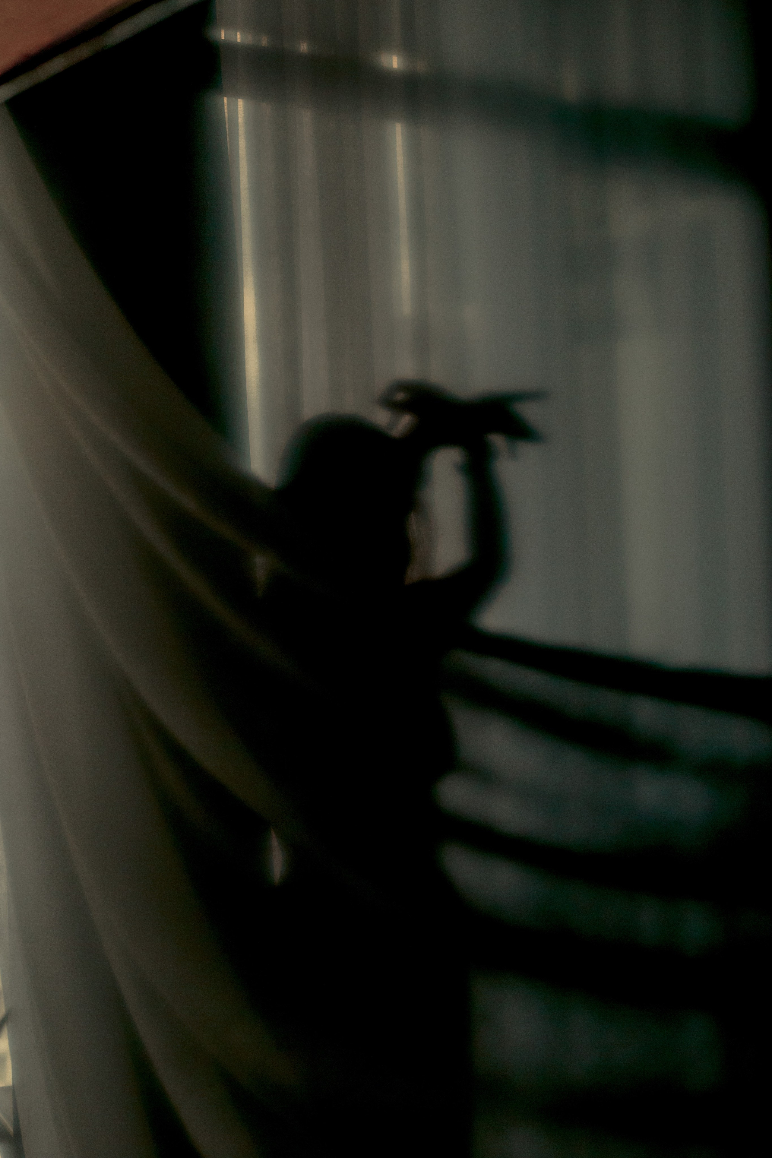 PSY THERAPY (18+). Art Photographer