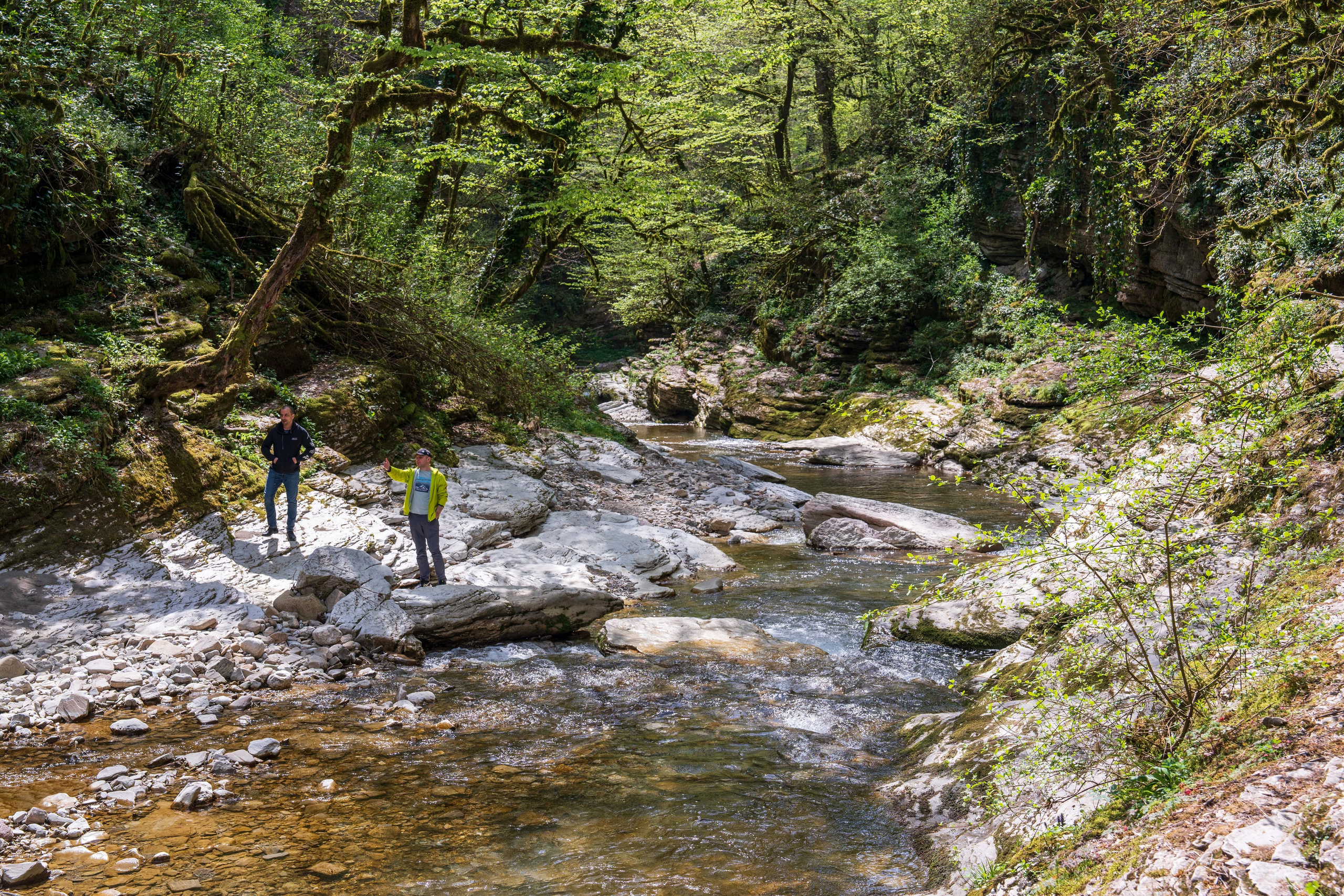 MICE мероприятие — джиппинг на каньон Псахо. Репортажный фотограф в Красной Поляне и Сочи Павлюченко Екатерина