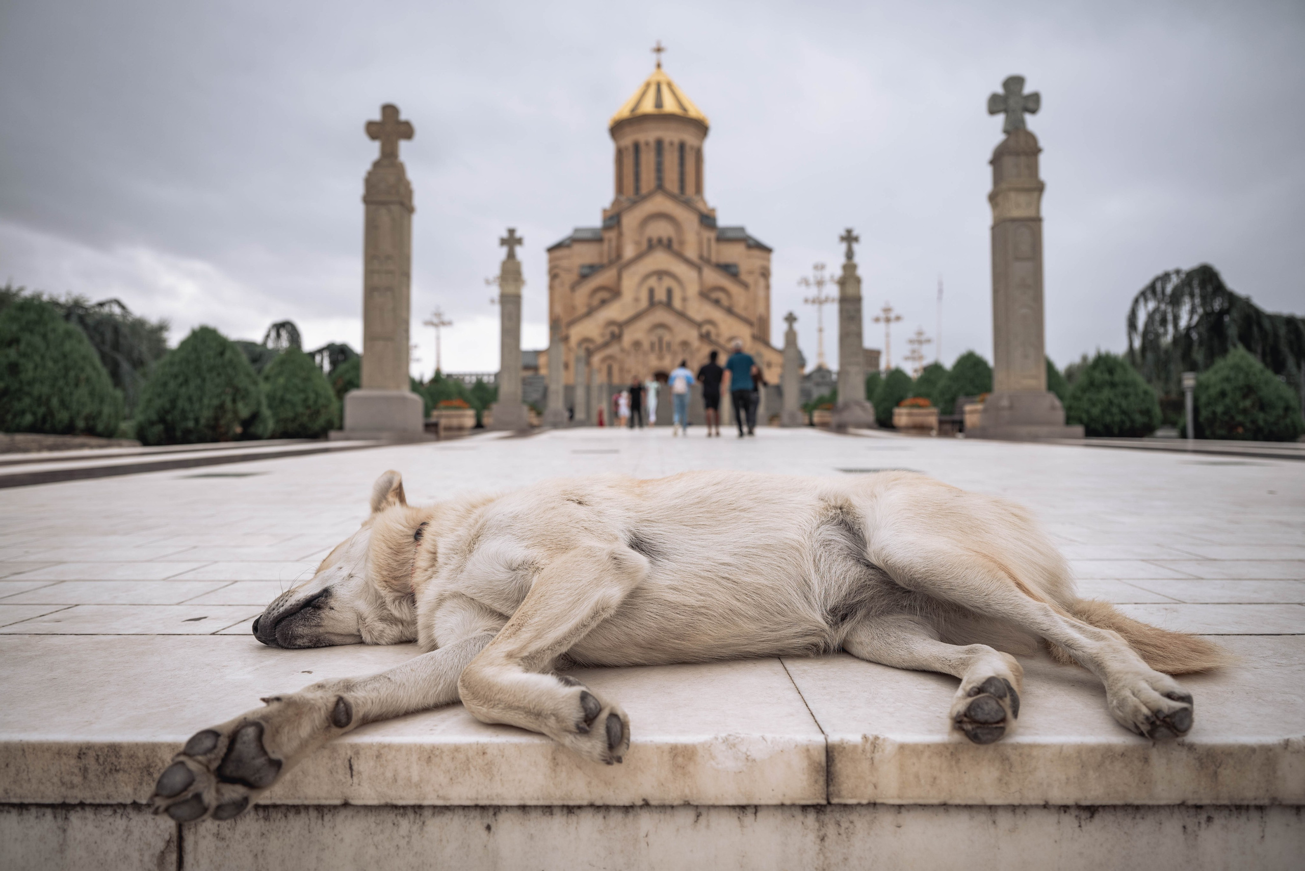 Грузия. Анна Лобанова | фотограф