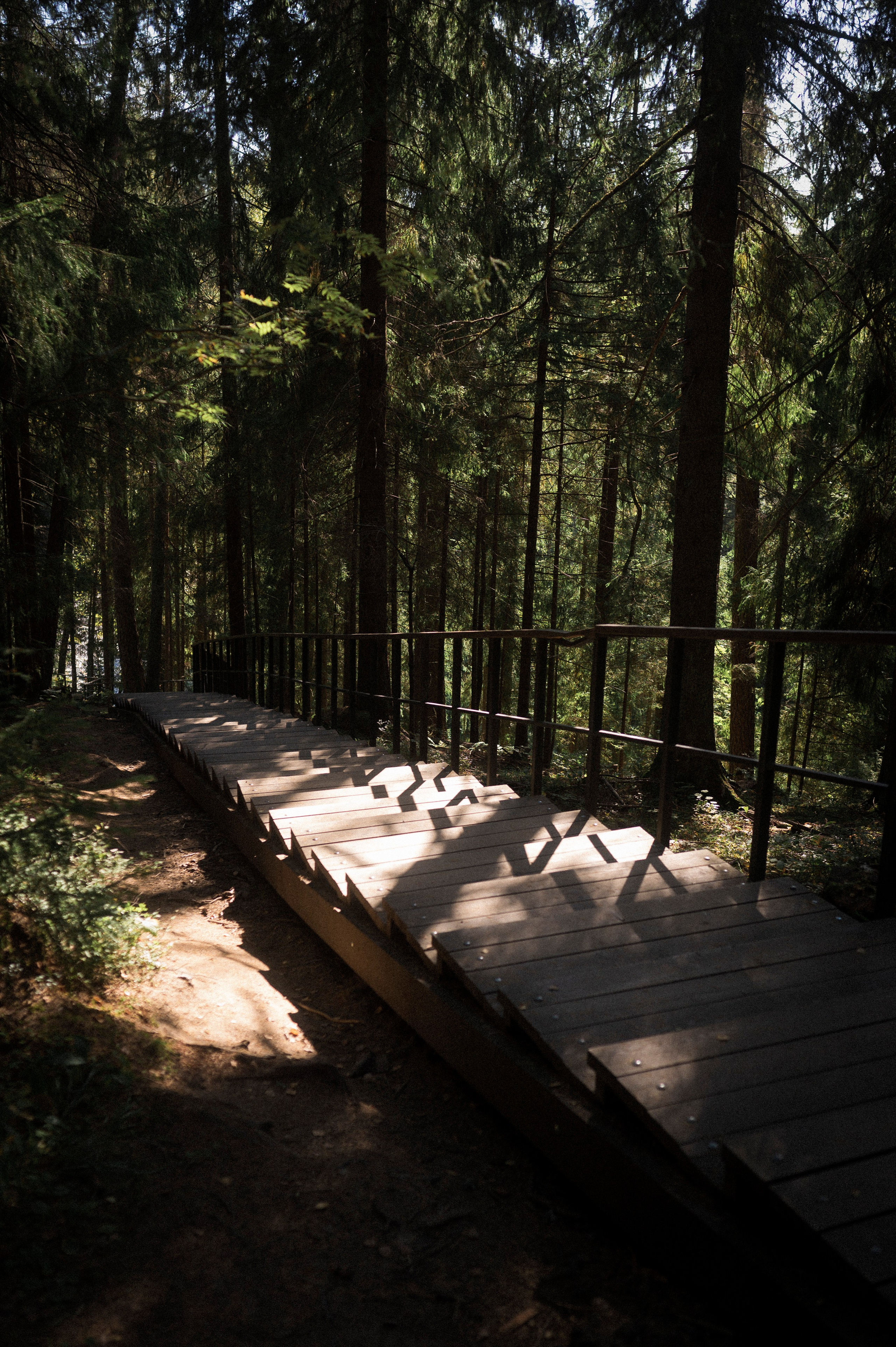 North 2024. Kartascheff