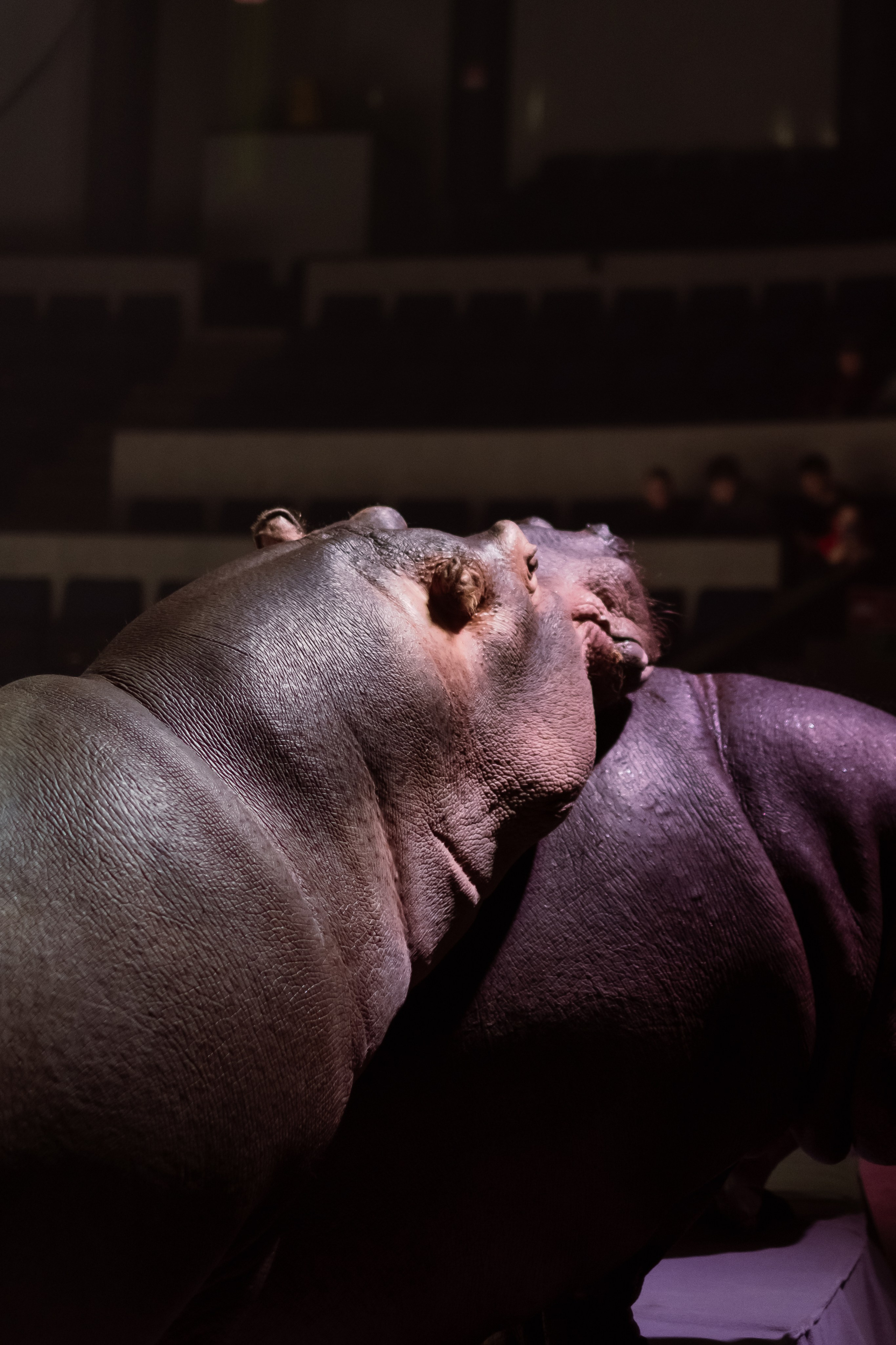 Репортаж. Фотограф Новосибирск Анна Рождественская