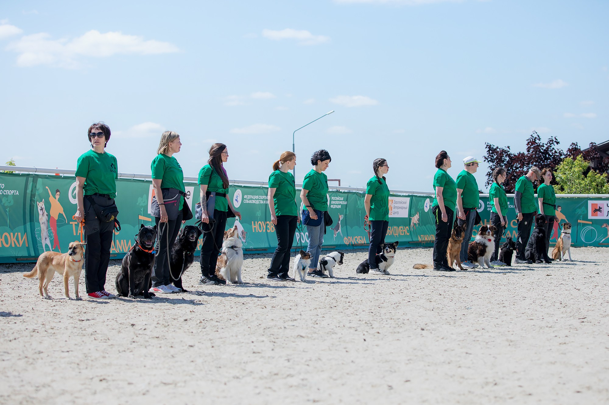Показательные выступления по NoseWork на выставке «Россия». Фотограф-анималист Mary Mart — Москва, Питер