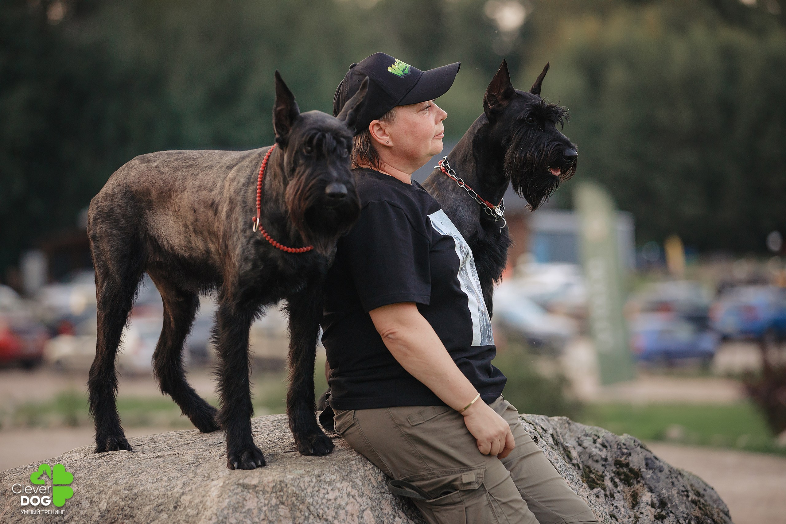 Кинологический лагерь CleverDog, 2024. Фотограф-анималист Mary Mart — Москва, Питер