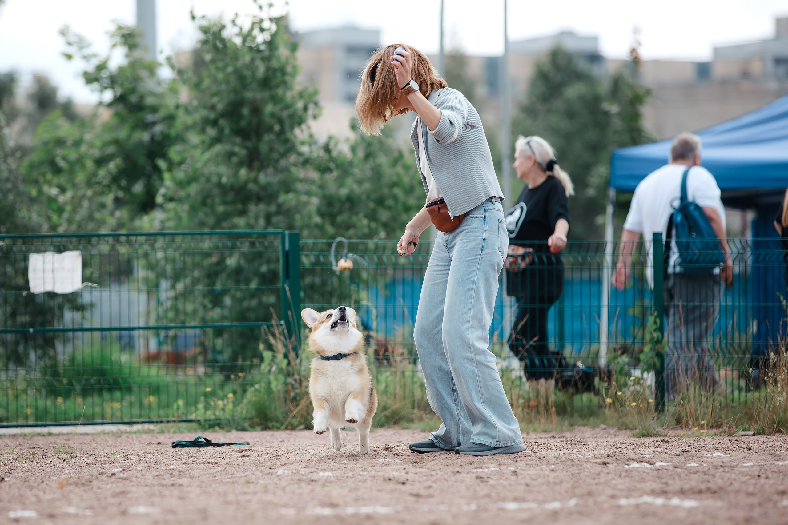 Питч&Гоу + веселые старты. Фотограф-анималист Mary Mart — Москва, Питер