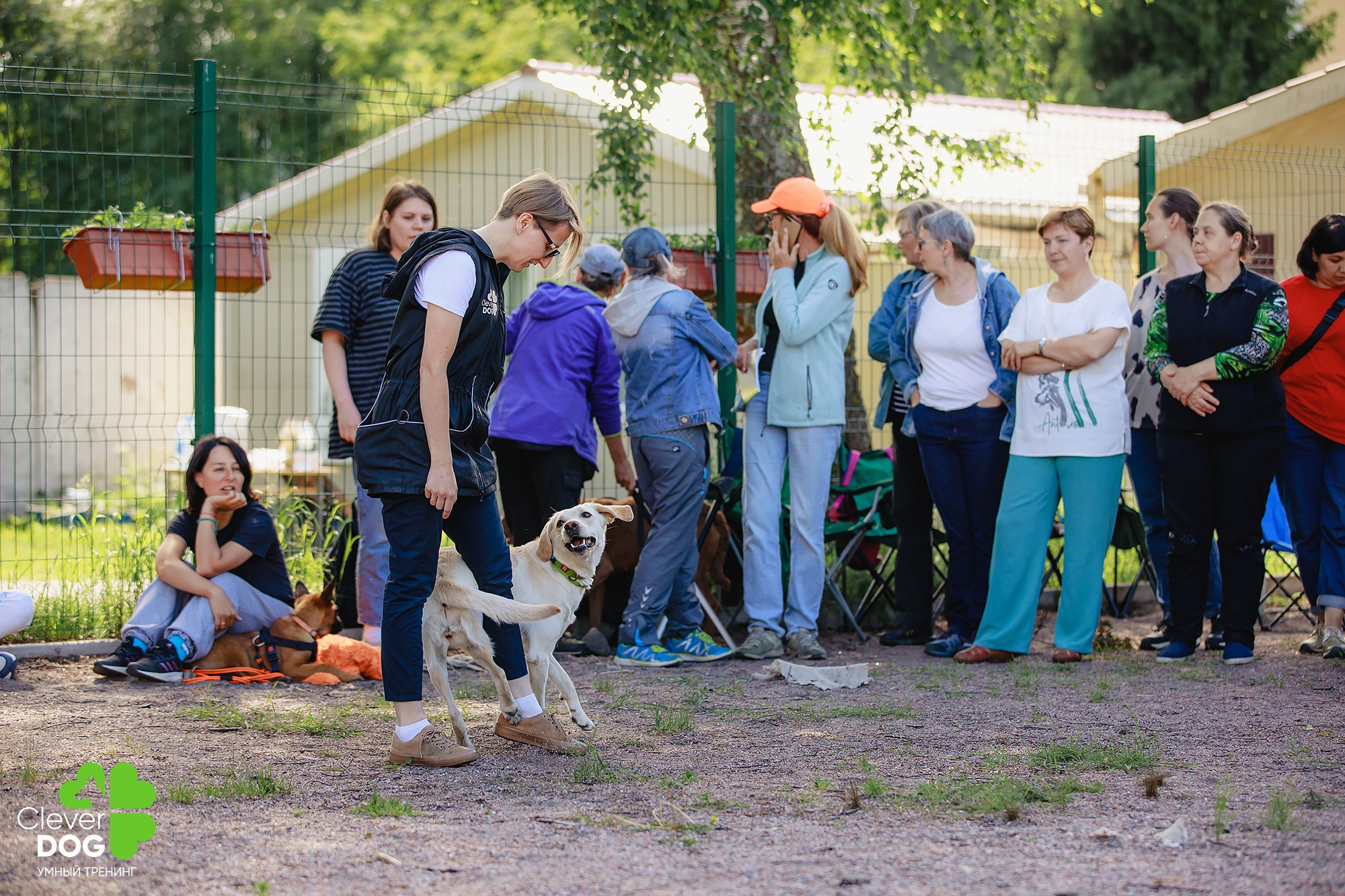 Семинар по поиску запаха с Иваном Ломовым, организатор CleverDog, СПб. Фотограф-анималист Mary Mart — Москва, Питер