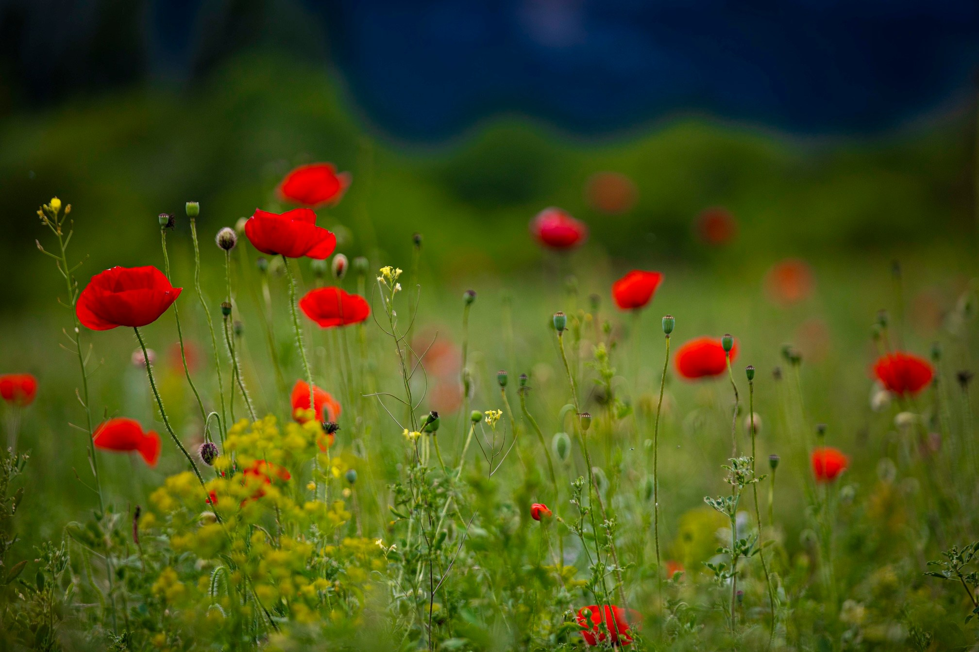 Фото о жизни