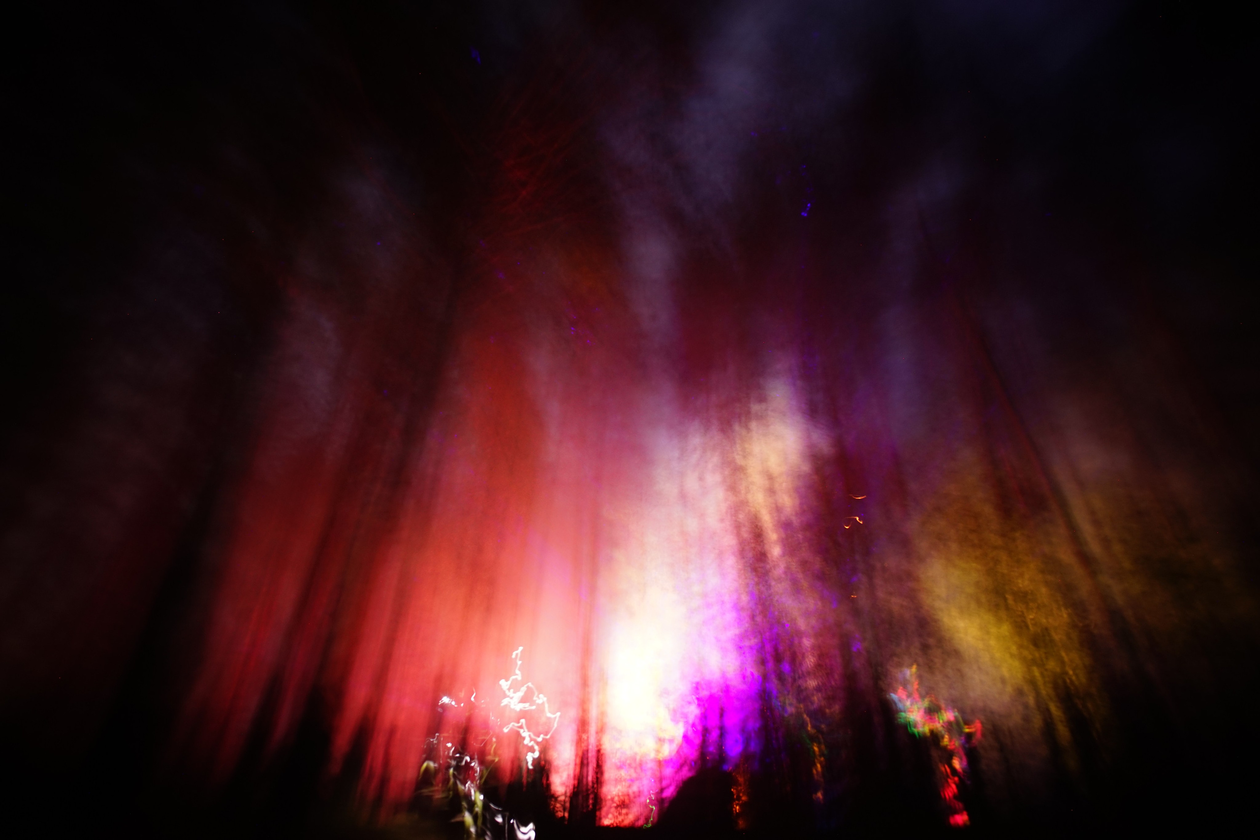 Где-то в лесу. ZAGLADIN Bureau