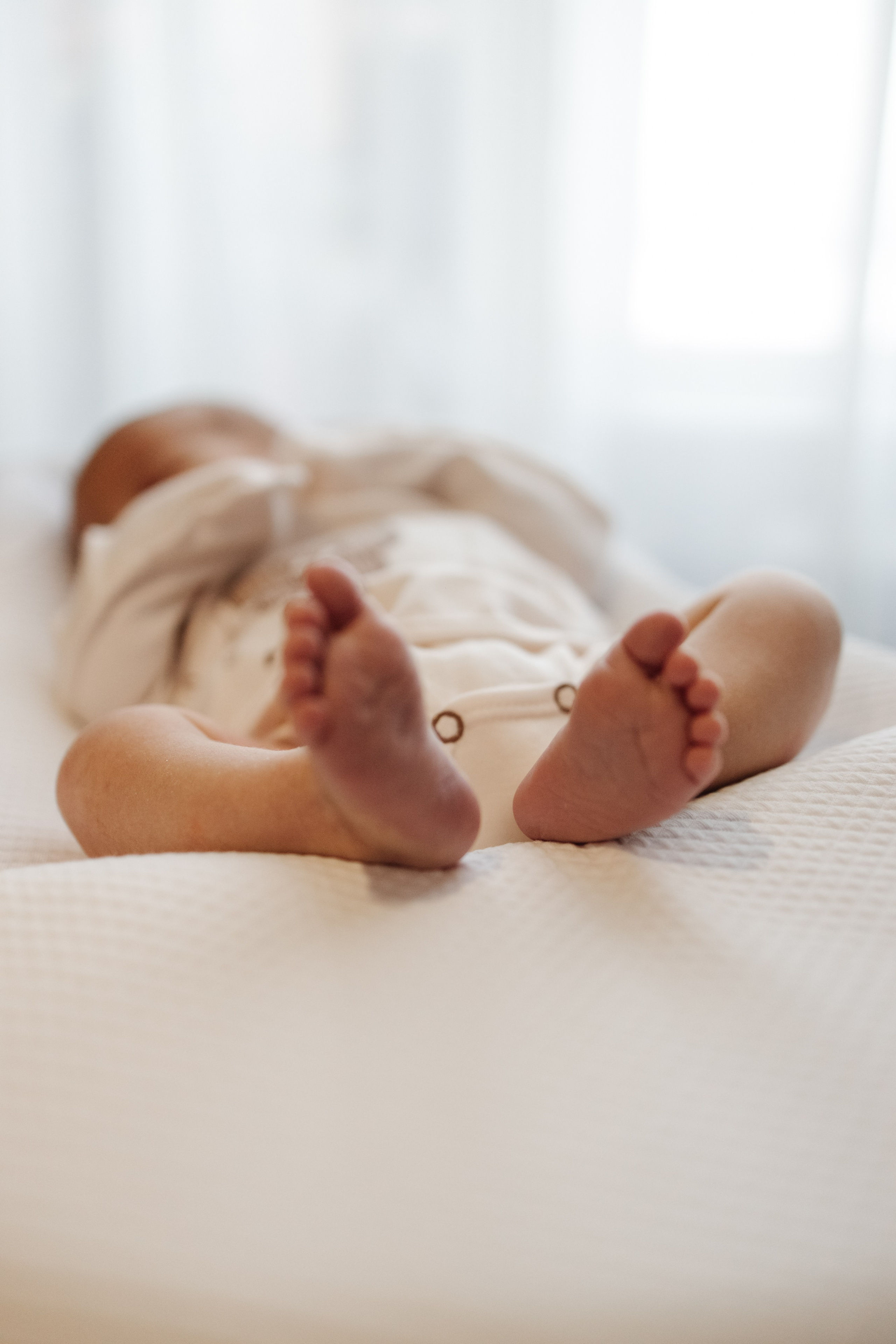 Гордей. Фотограф Новосибирск