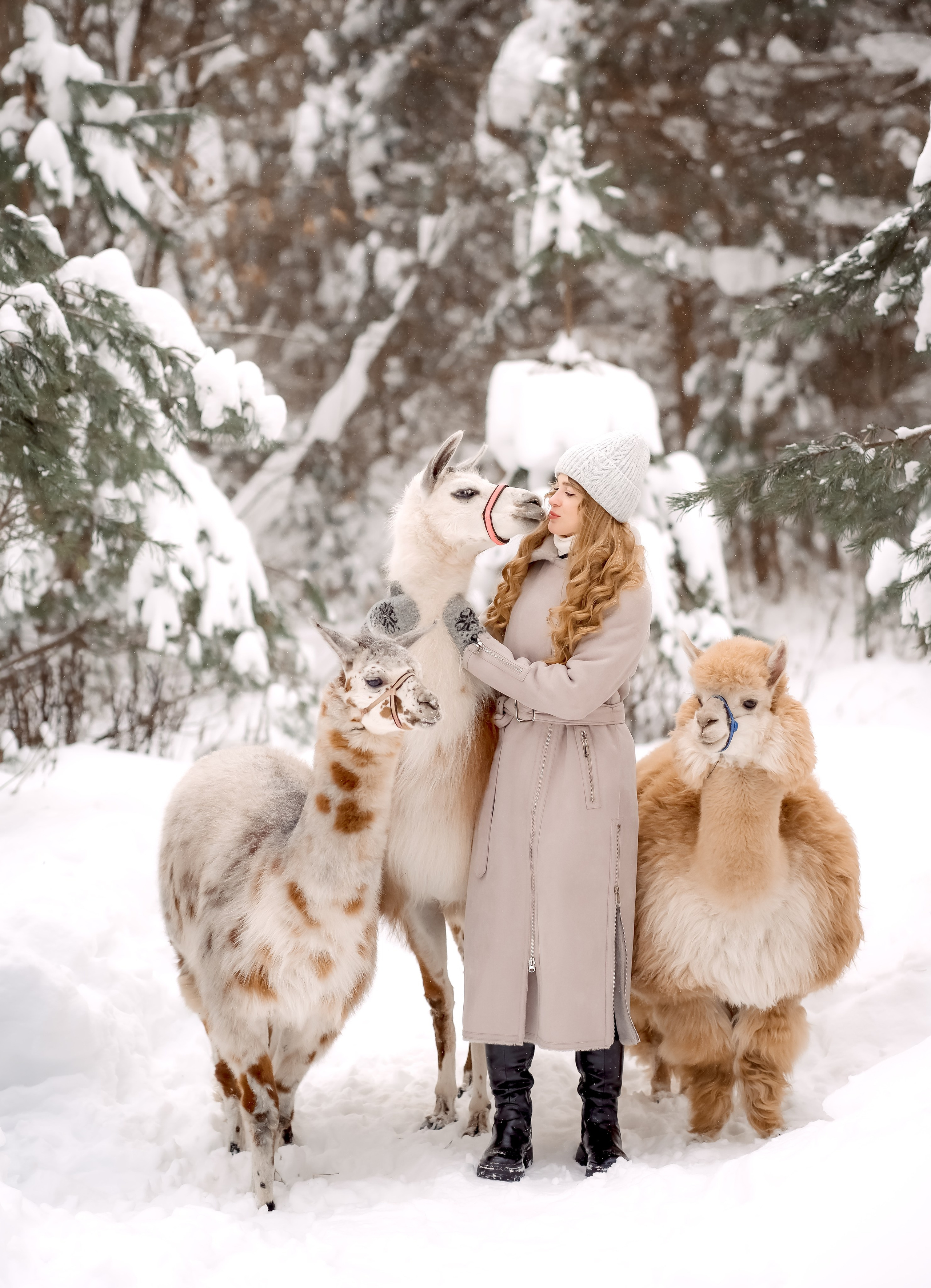 Фотосессия с лошадьми. Марина Суздаль семейный и детский фотограф в Москве и Подмосковье