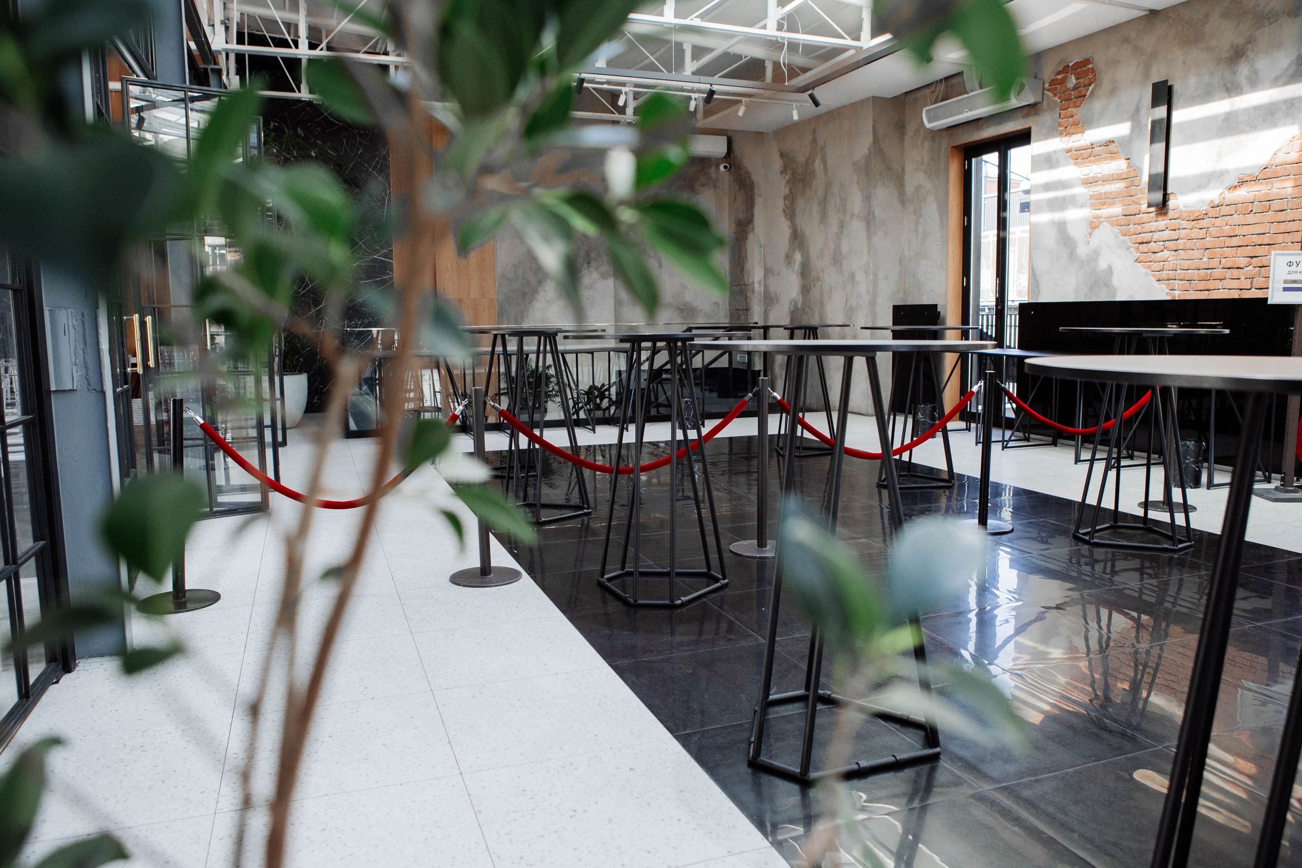 ШОУ ВЛАДИМИРА ДРЕВСА. Репортажный фотограф Москва (детские праздники, квизы, концерты, дни рождения, свадьбы)