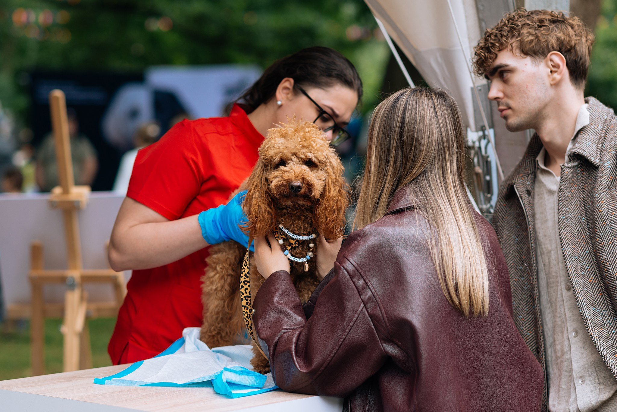 PETSHOP DAYS. Июнь 26. Репортажный фотограф в Санкт-Петербурге Анастасия Клёпова