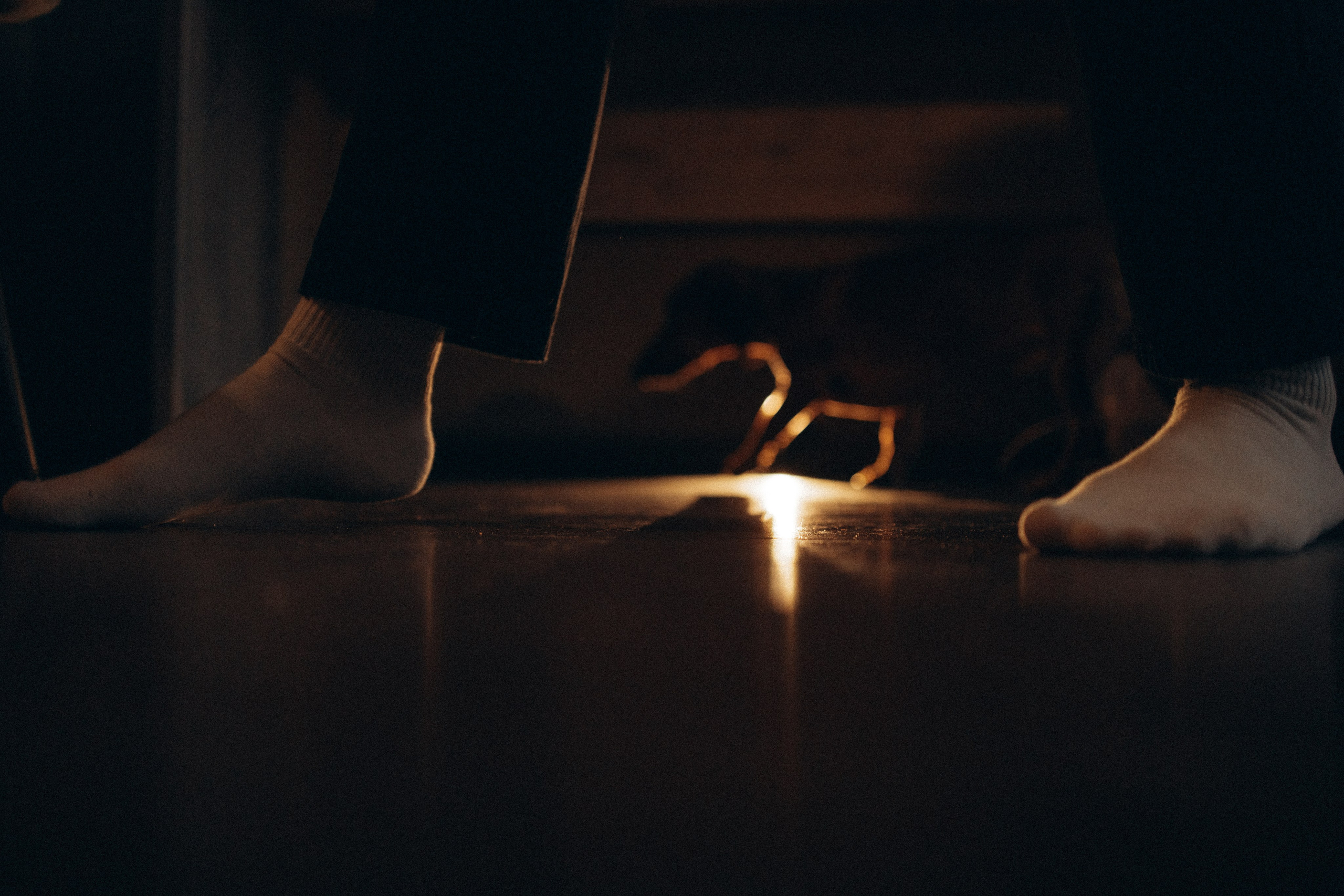 Маша и ее семья. Фотораф — анималист Мария Шистка